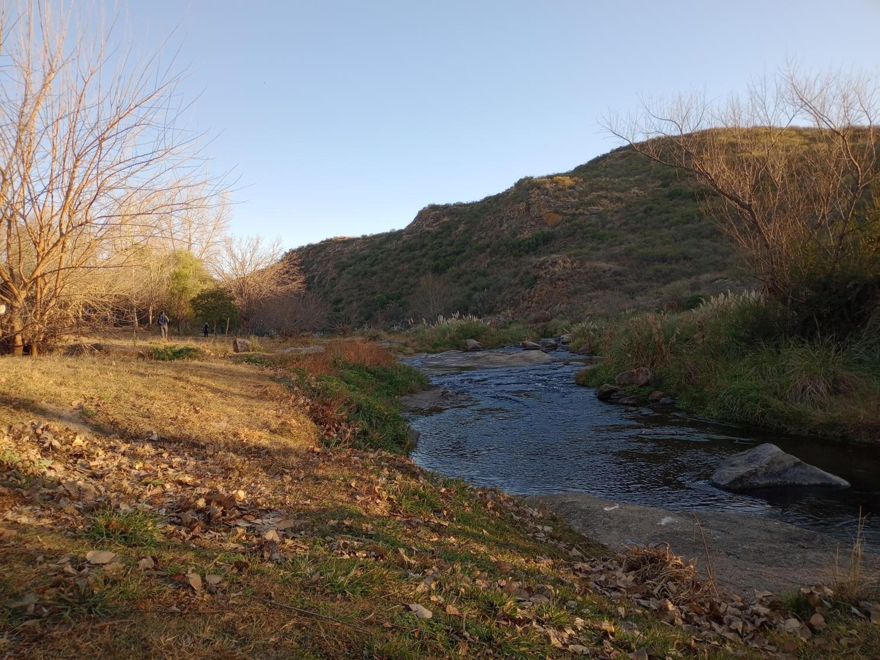 Dúplex, Alejandría