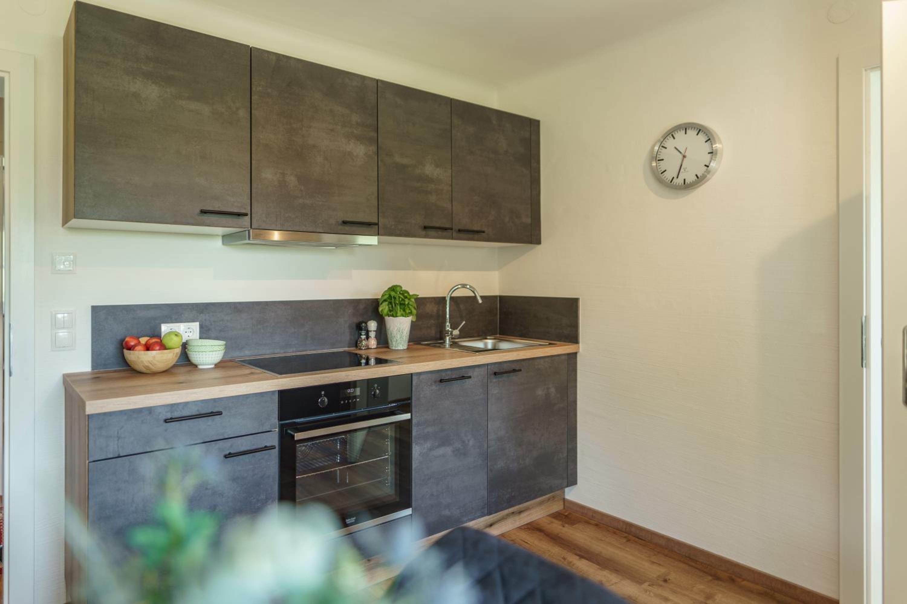 Neues Luxus APARTMENT DACHSTEIN - Ramsau am Dachstein - direkt an der Loipe
