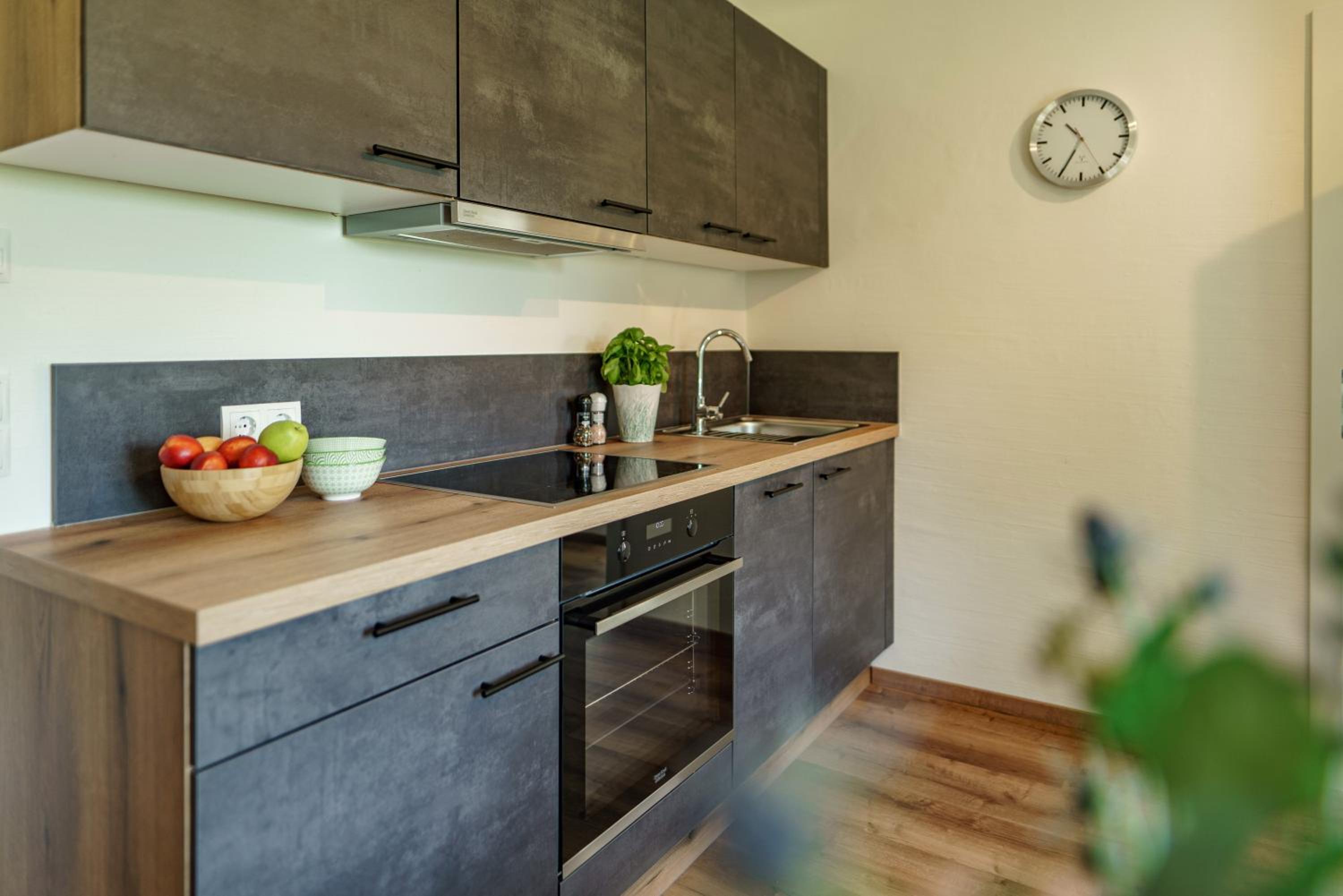 Neues Luxus APARTMENT DACHSTEIN - Ramsau am Dachstein - direkt an der Loipe