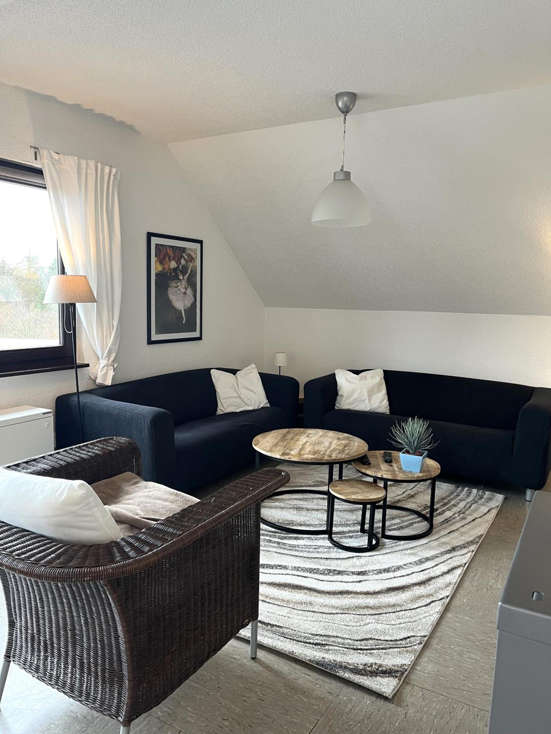 9 persoons vakantiehuis rand Sauerland Edersee