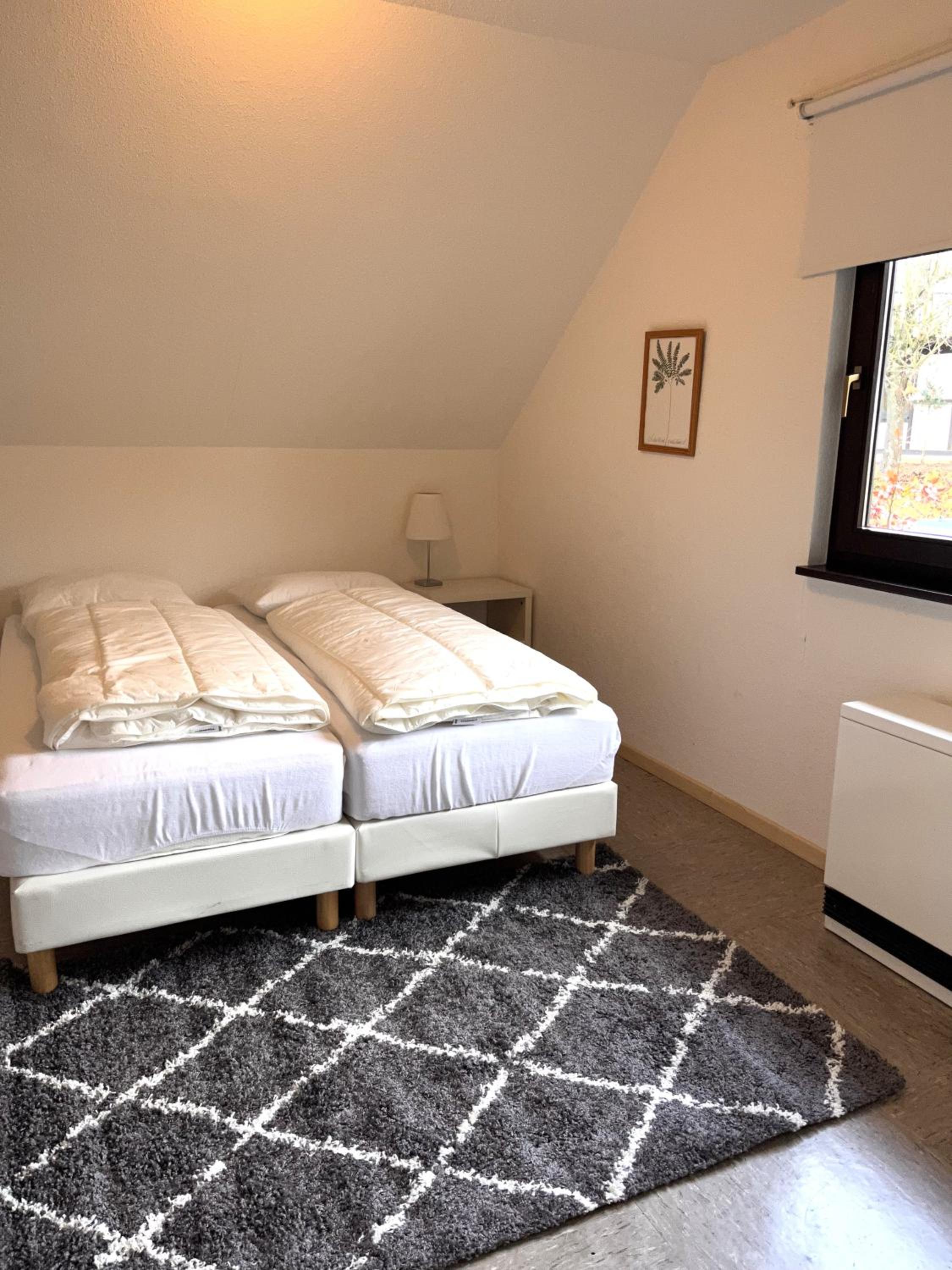 9 persoons vakantiehuis rand Sauerland Edersee