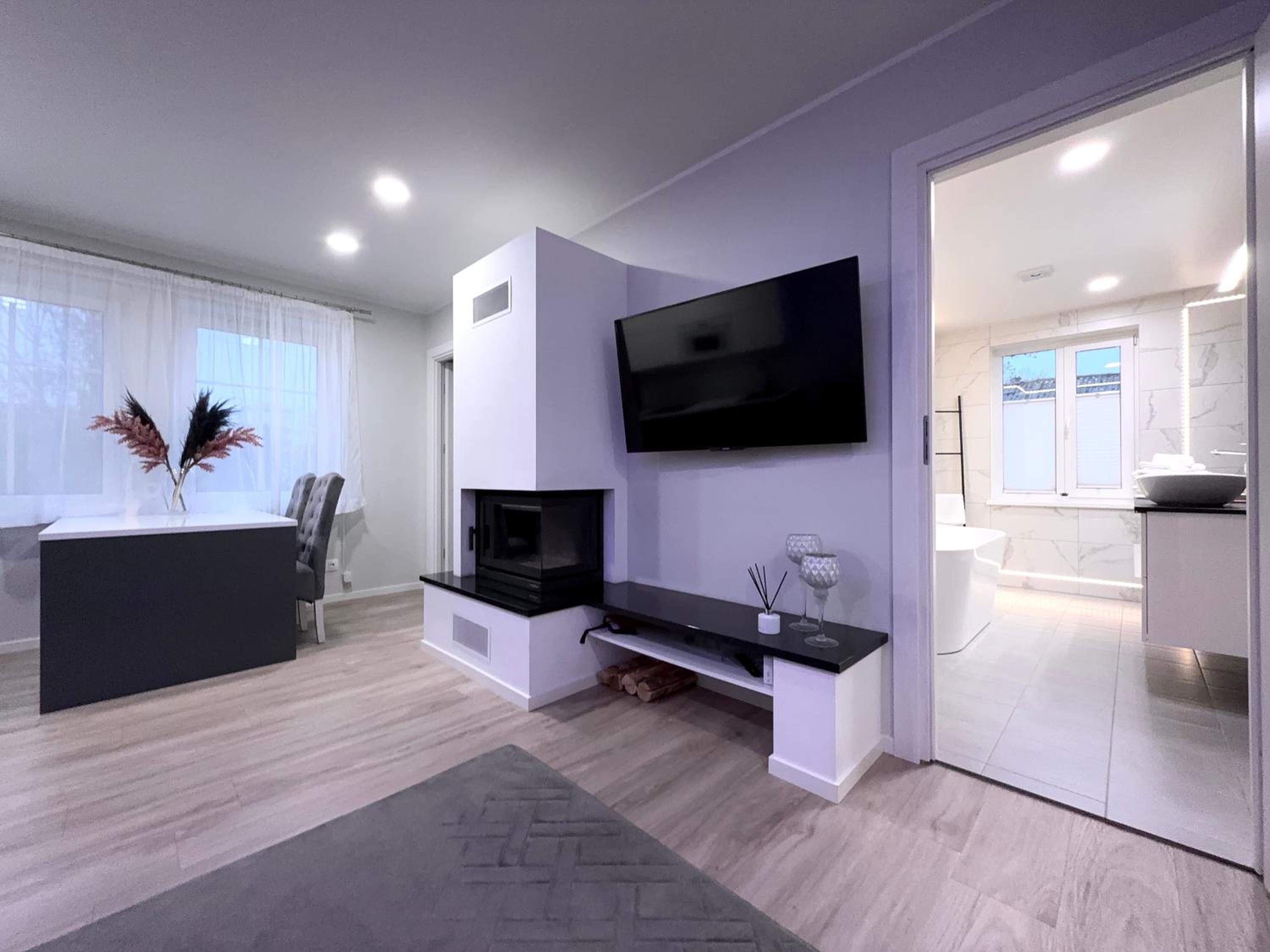Luxurious apartment in the city center