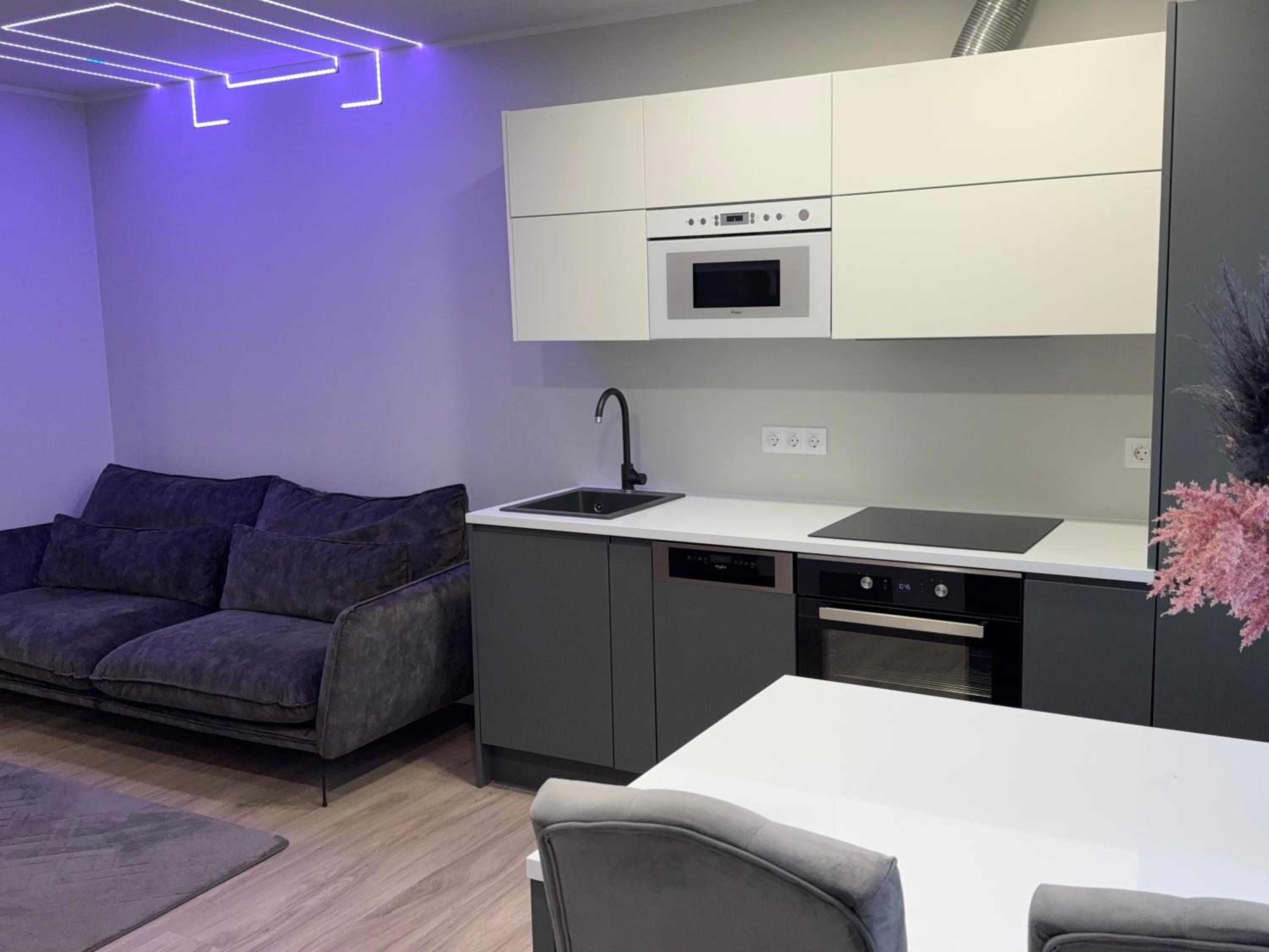 Luxurious apartment in the city center