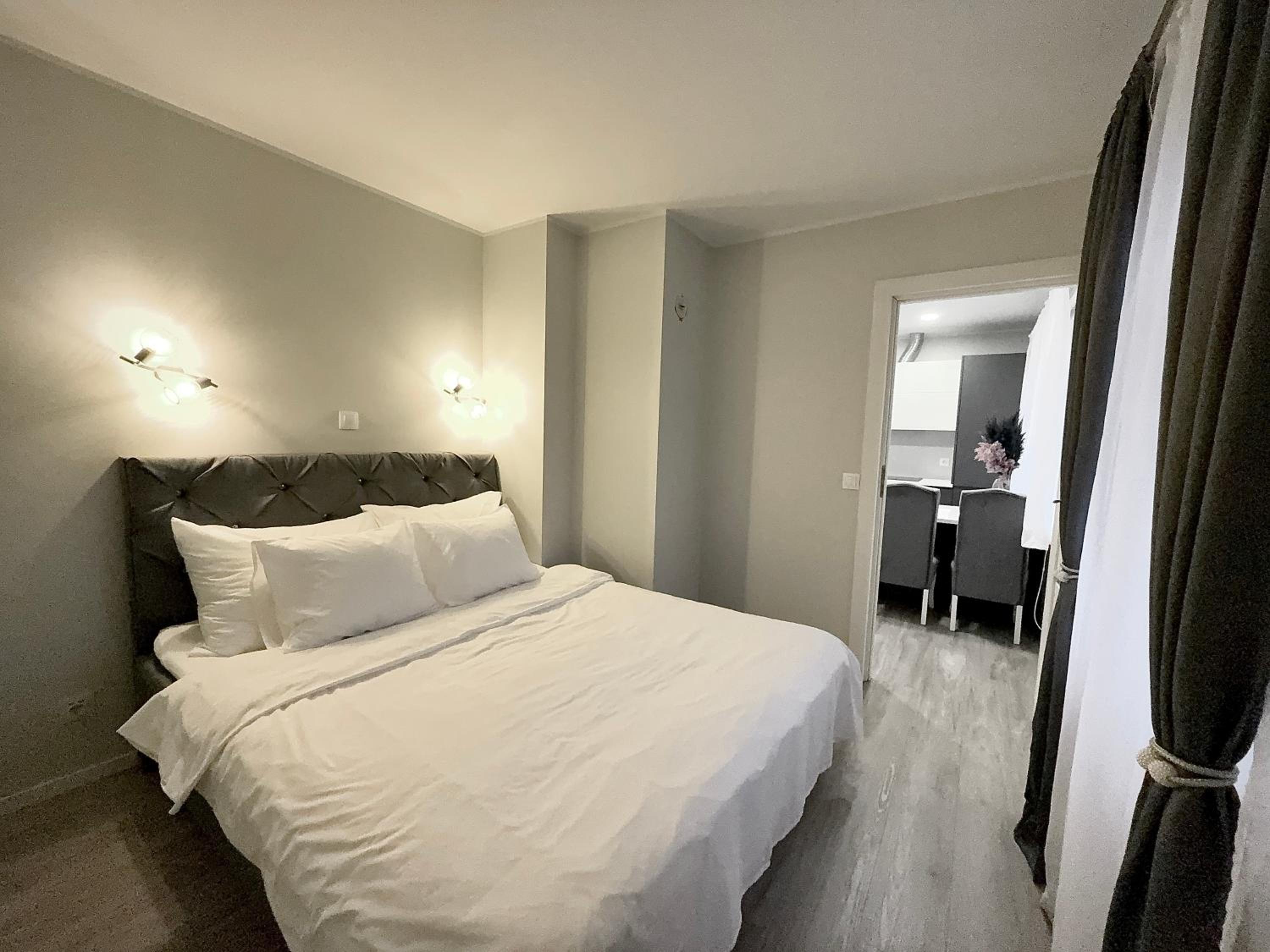Luxurious apartment in the city center