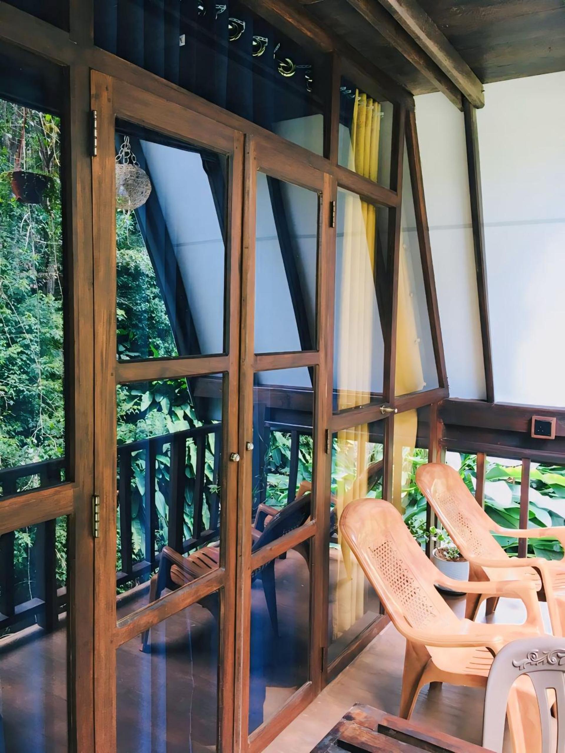 THE JUNGLE CABIN ella view 3