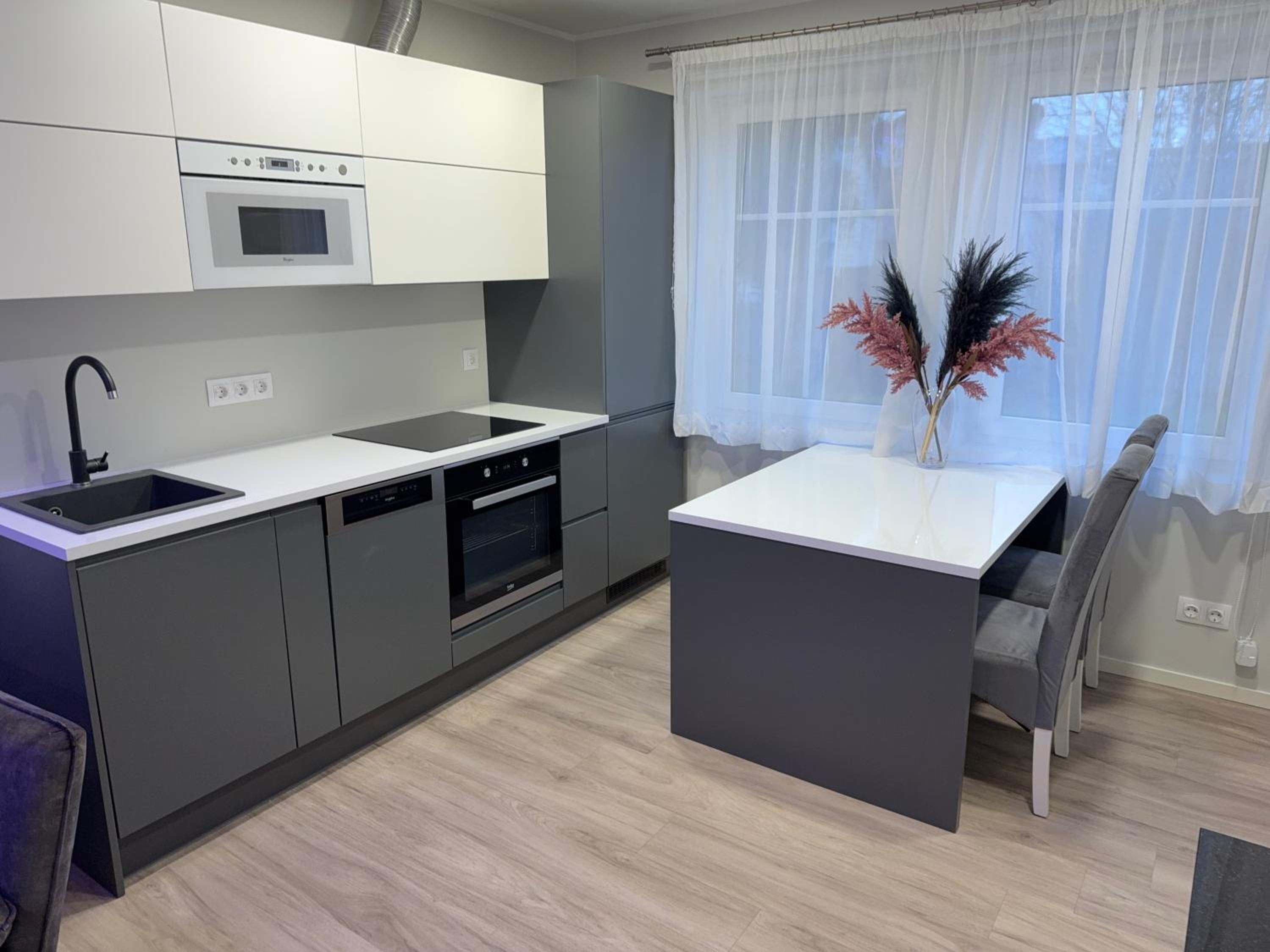 Luxurious apartment in the city center