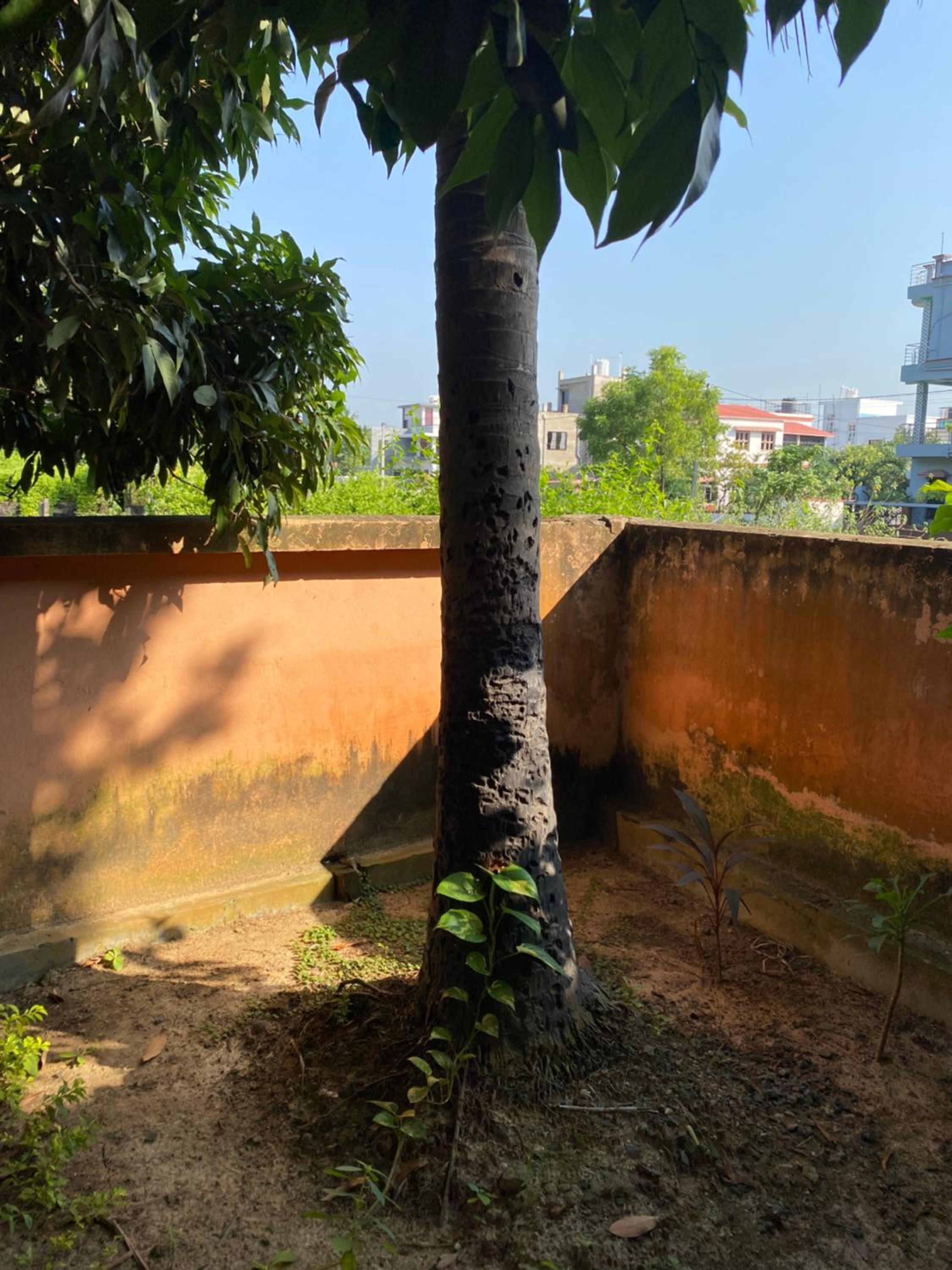 Kraunchawdip Homestay