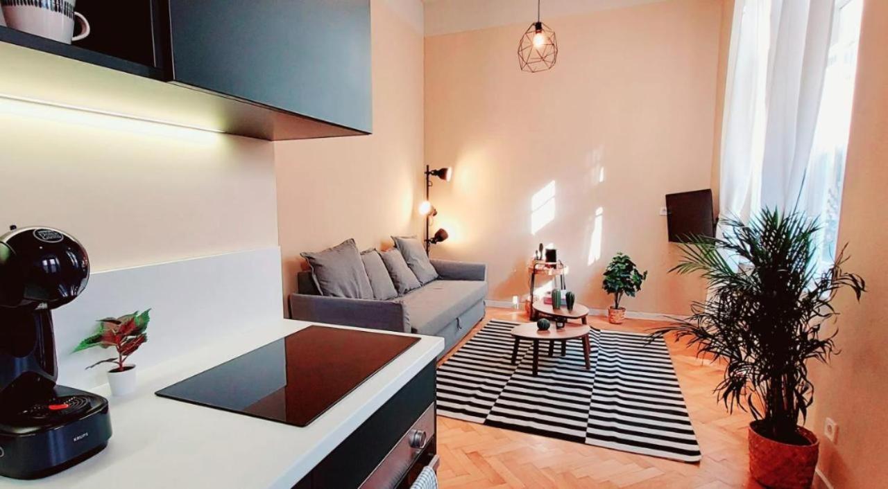 A+ Budapest Downtown Apartments Akácfa view 3