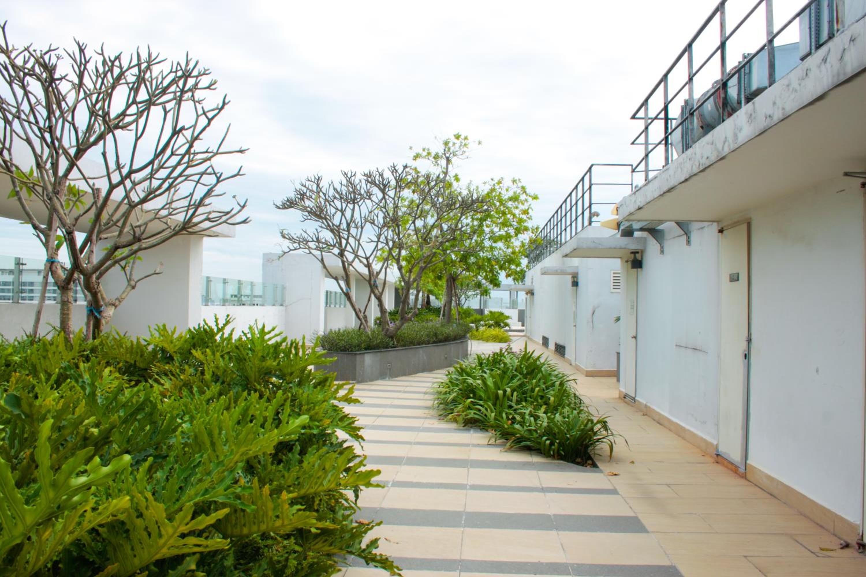 roof