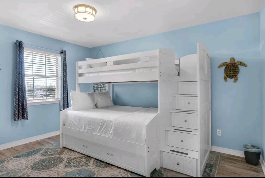 Seashell Suite!