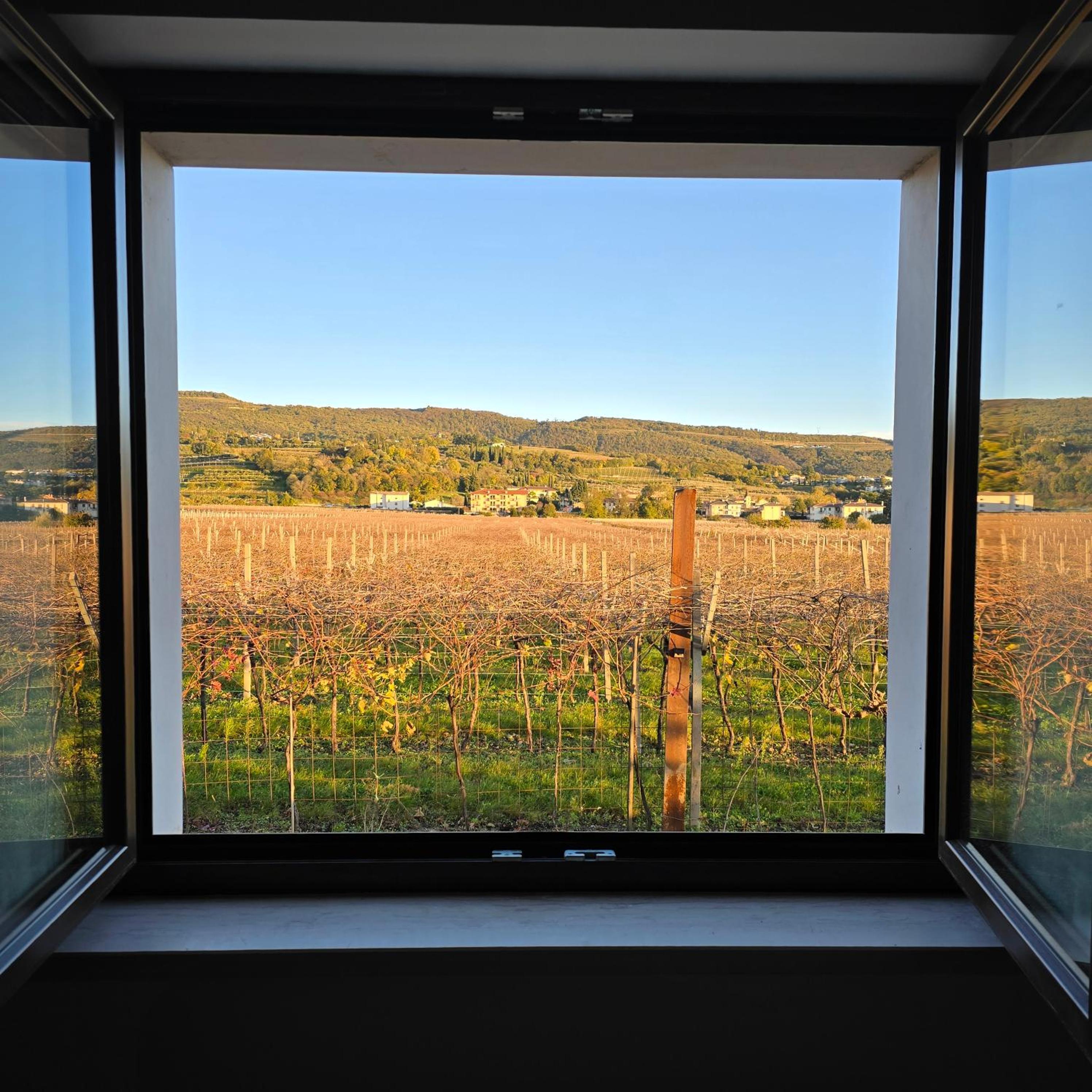 Agriturismo Igino - Camere fra Vigneti della Valpolicella