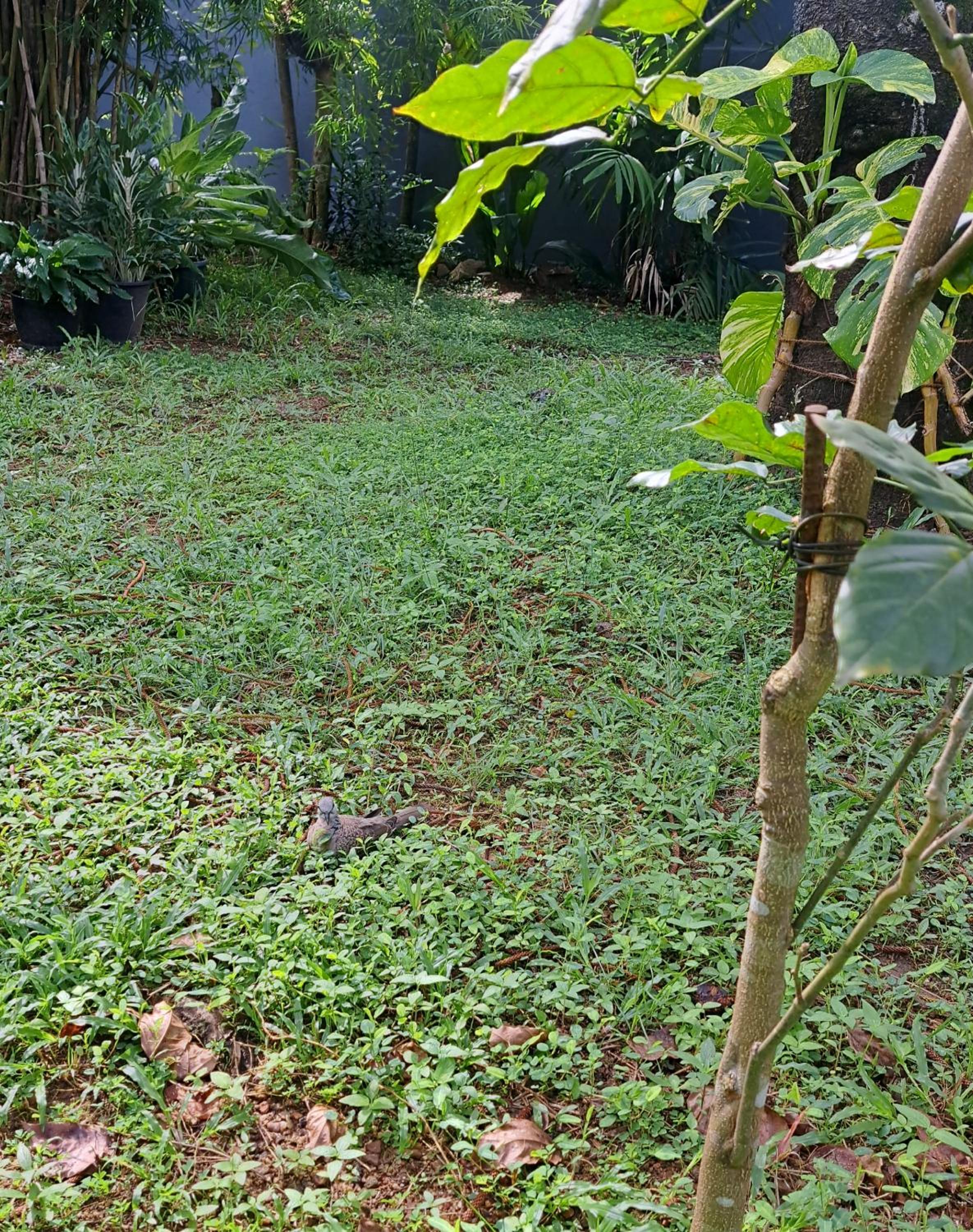 Photo 18