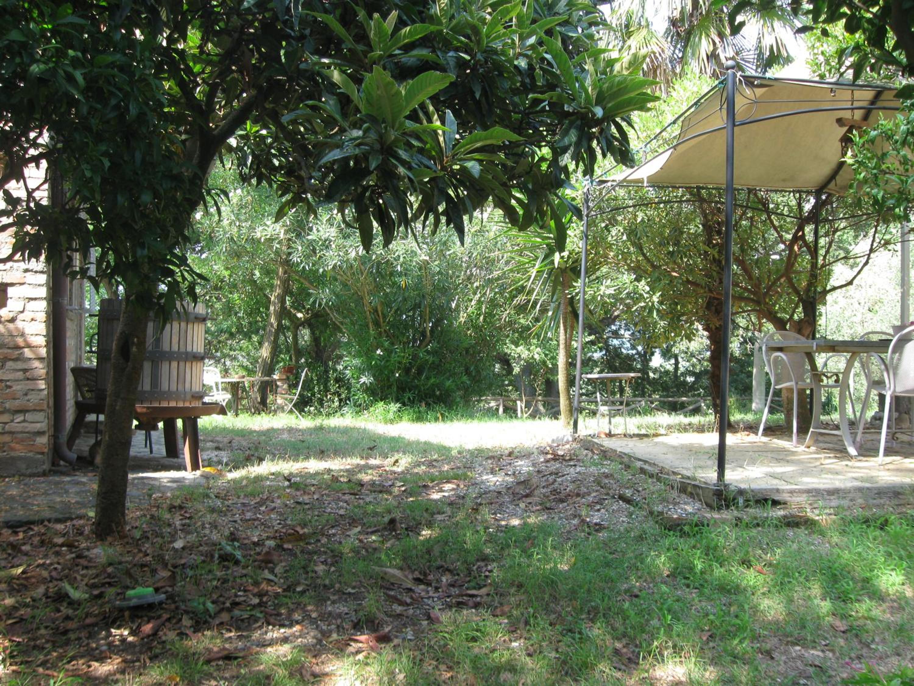 Photo 46