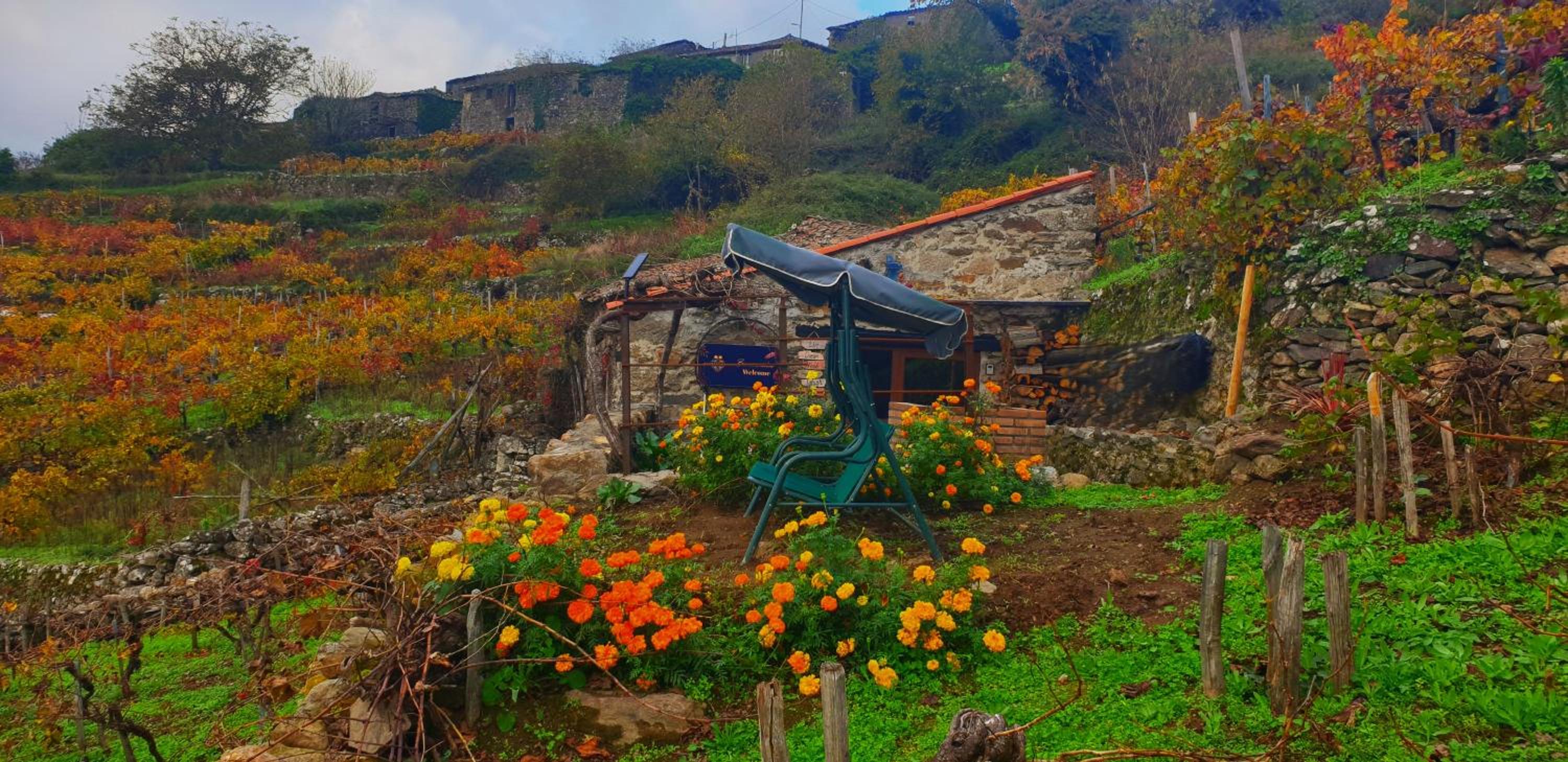 cabaña do rei
