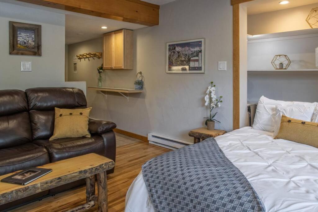 Breckenridge Studio Ski in and Ski out