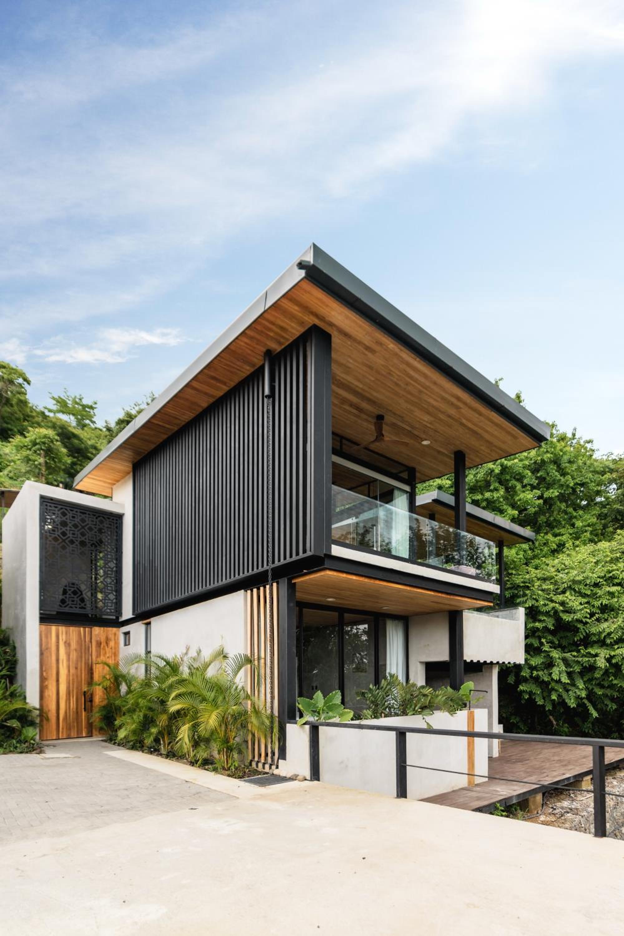 Photo 195