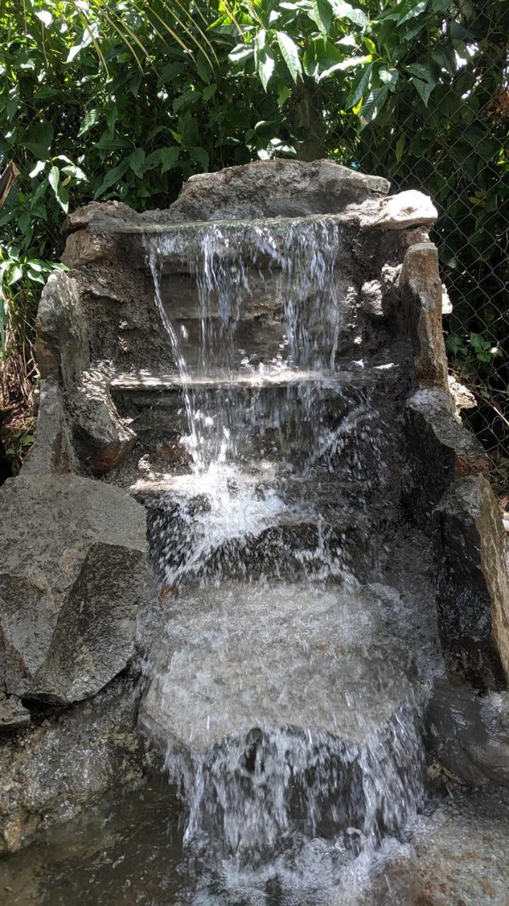 Photo 36