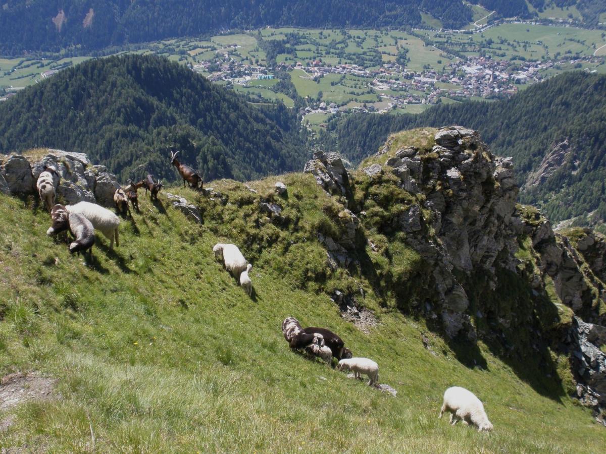 Klampererhof