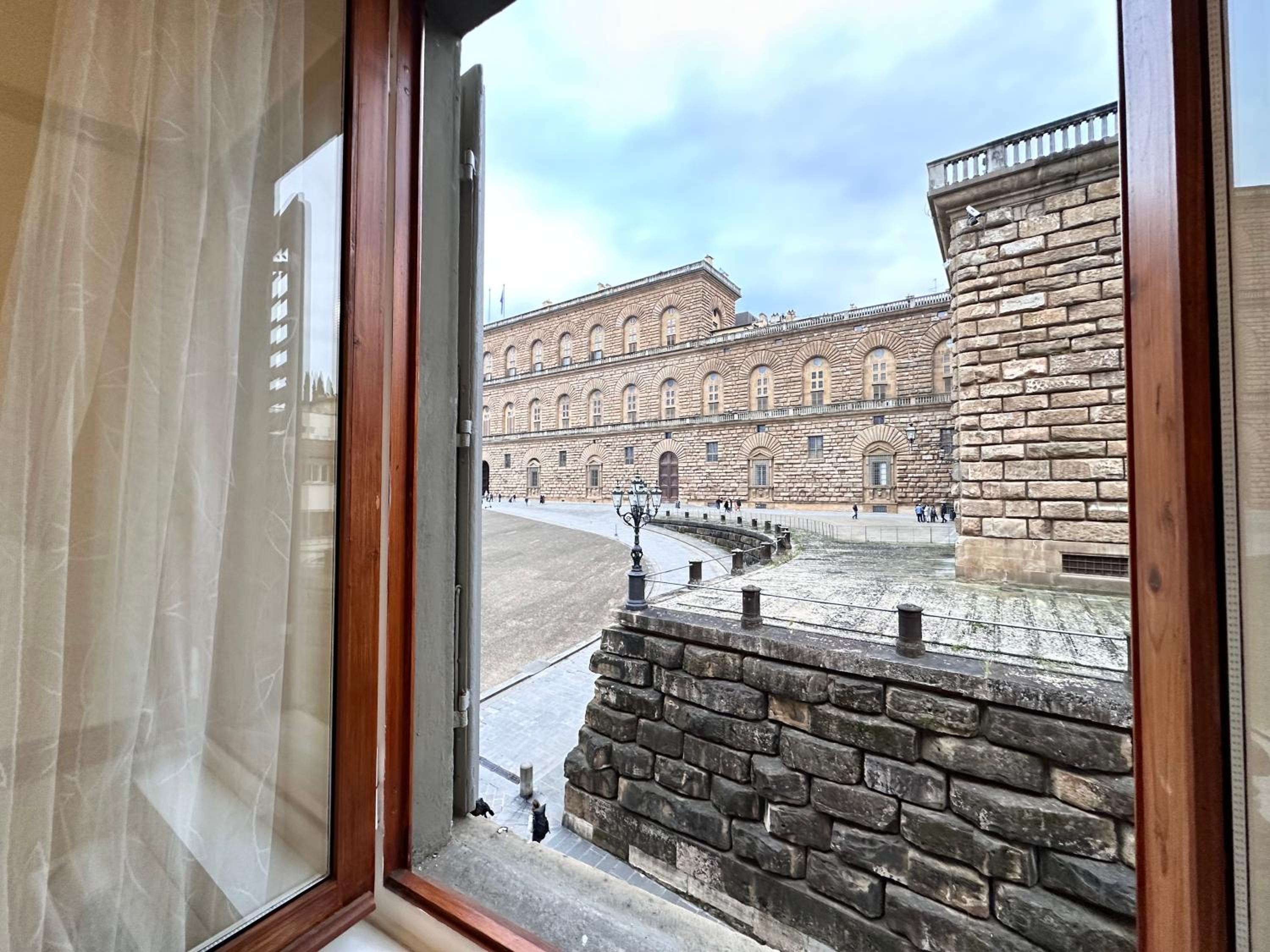 Luxurious View on Pitti Palace