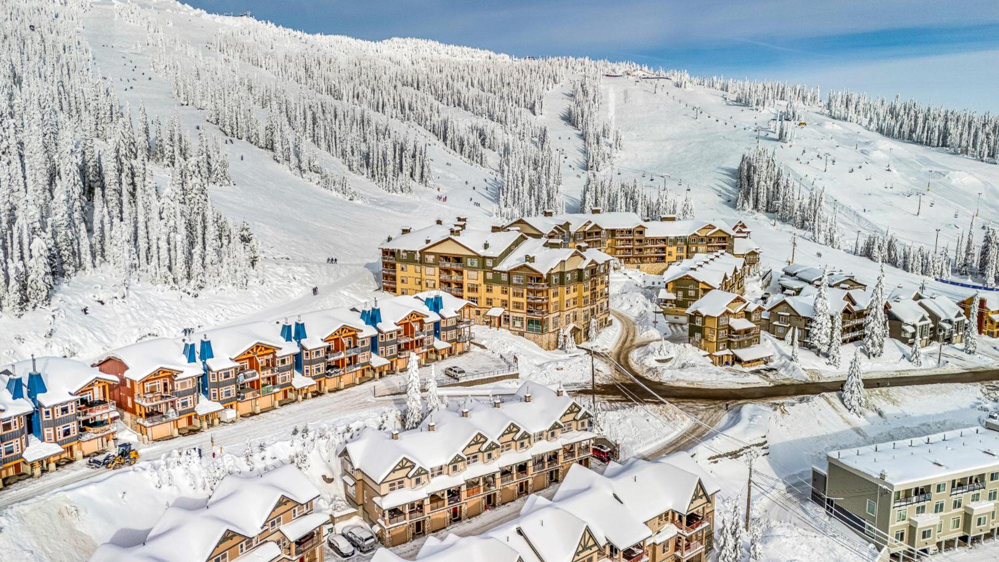 Treetop Getaway, Ski In and Out, Sleeps 10