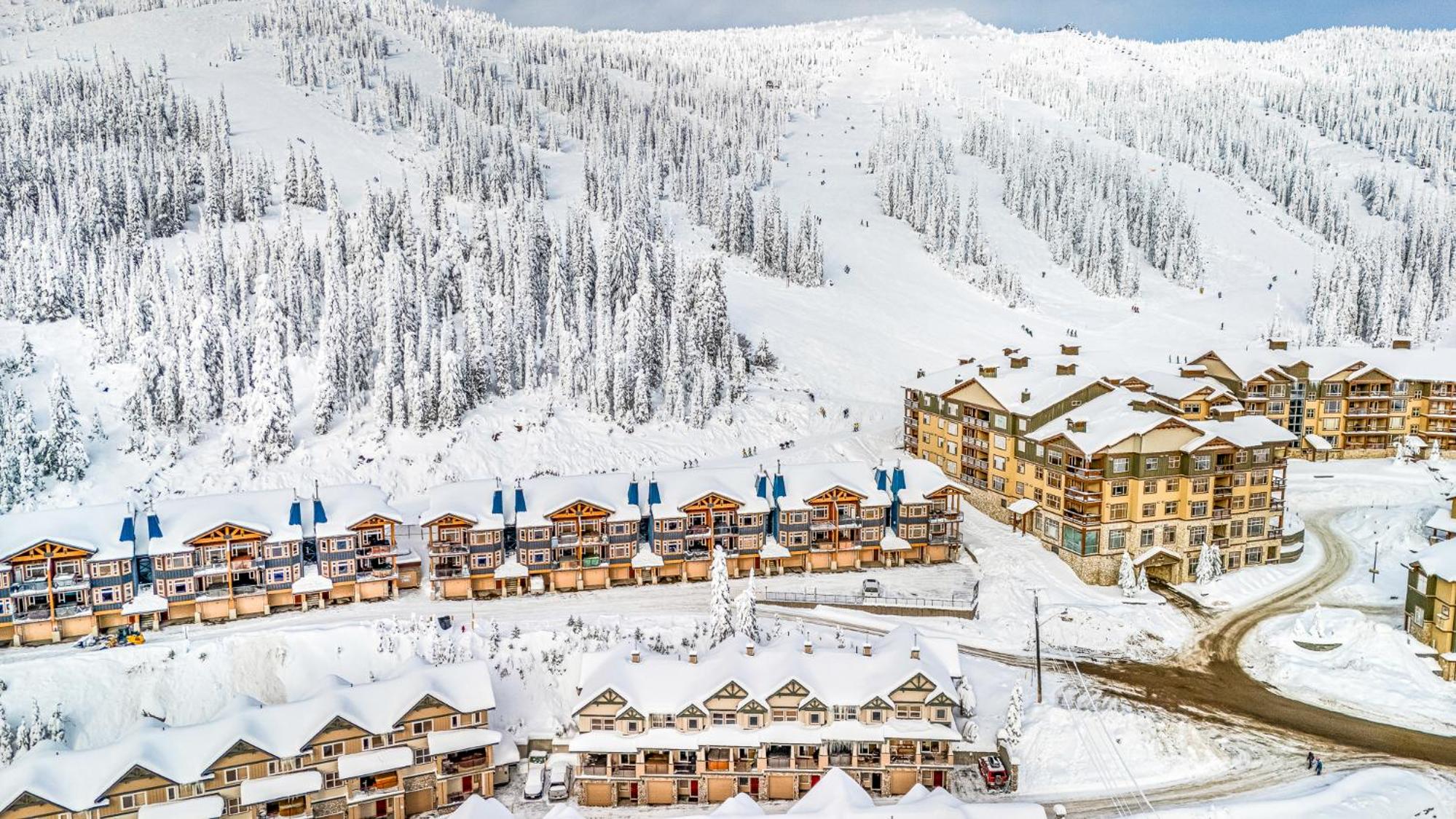 Treetop Getaway, Ski In and Out, Sleeps 10