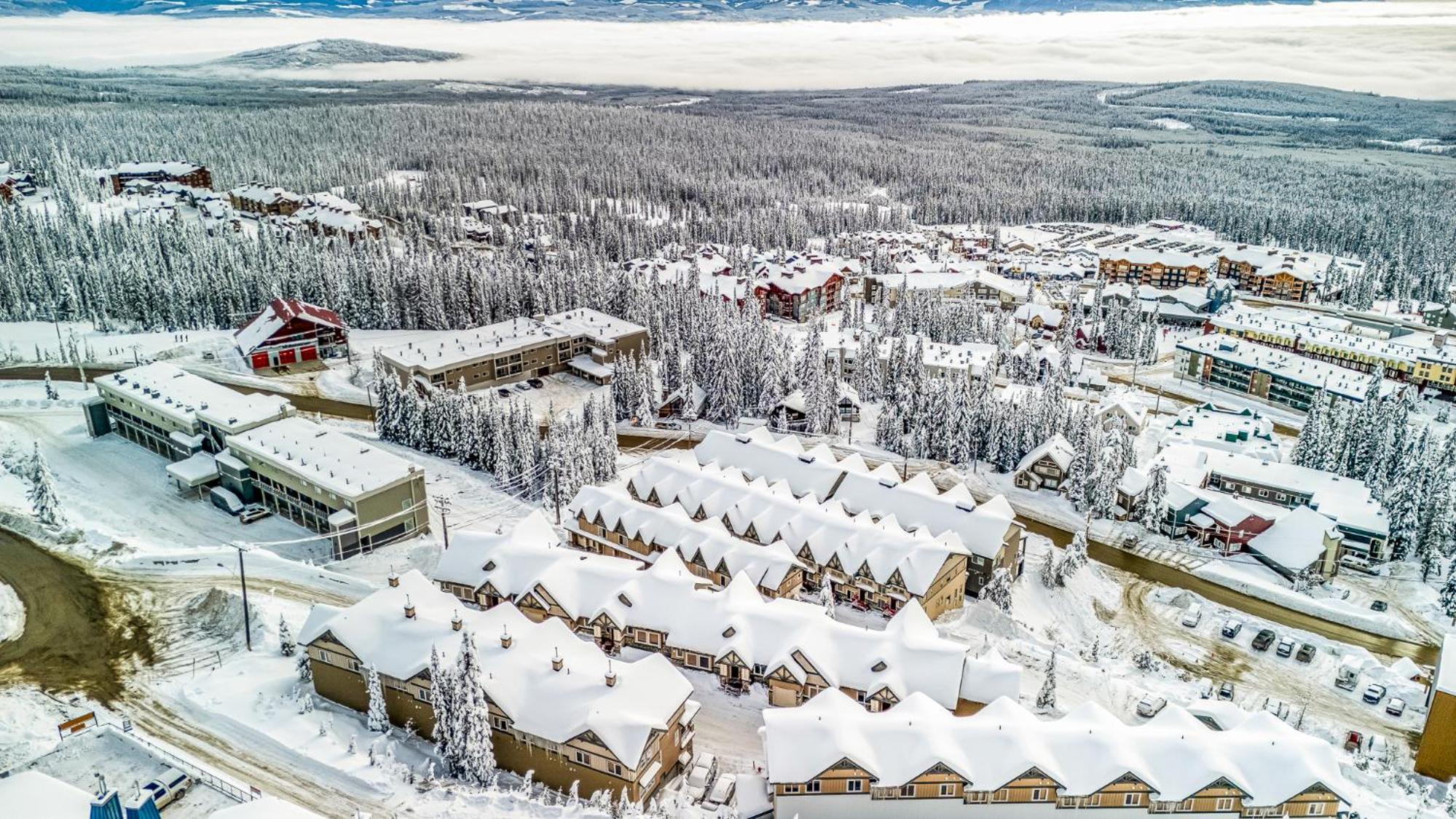 Treetop Getaway, Ski In and Out, Sleeps 10