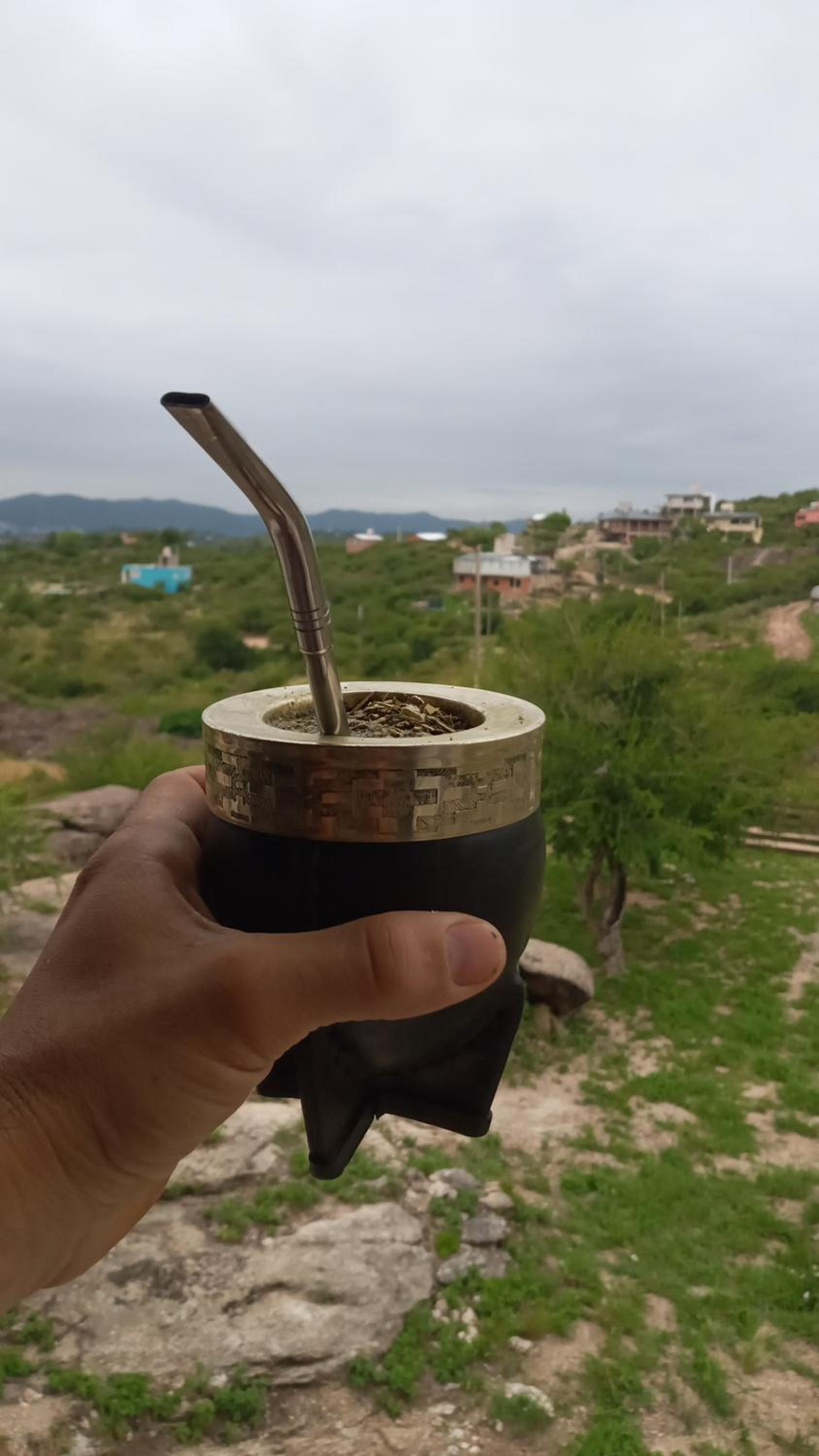 La Tacuarita