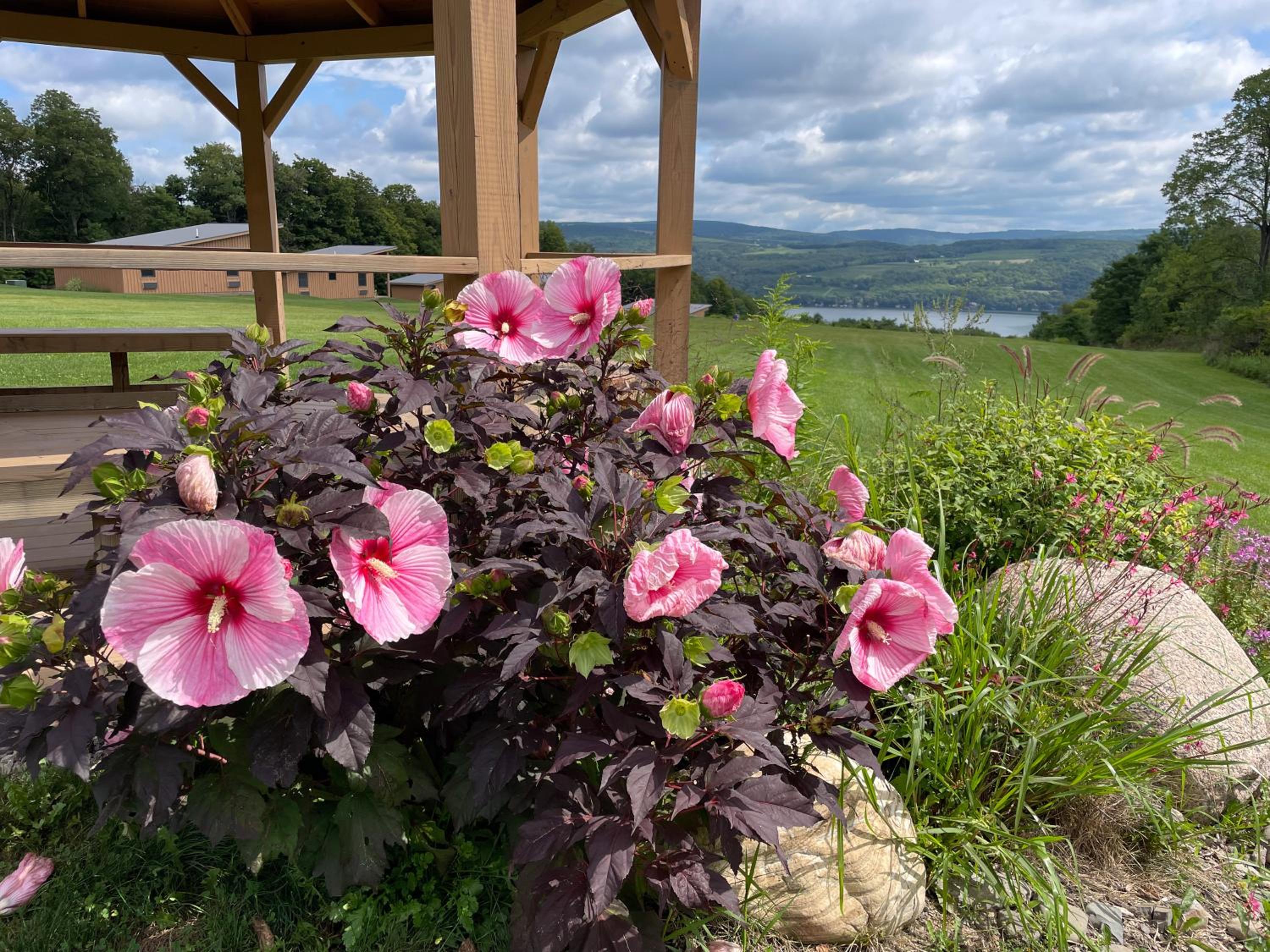 Lakeside Resort
