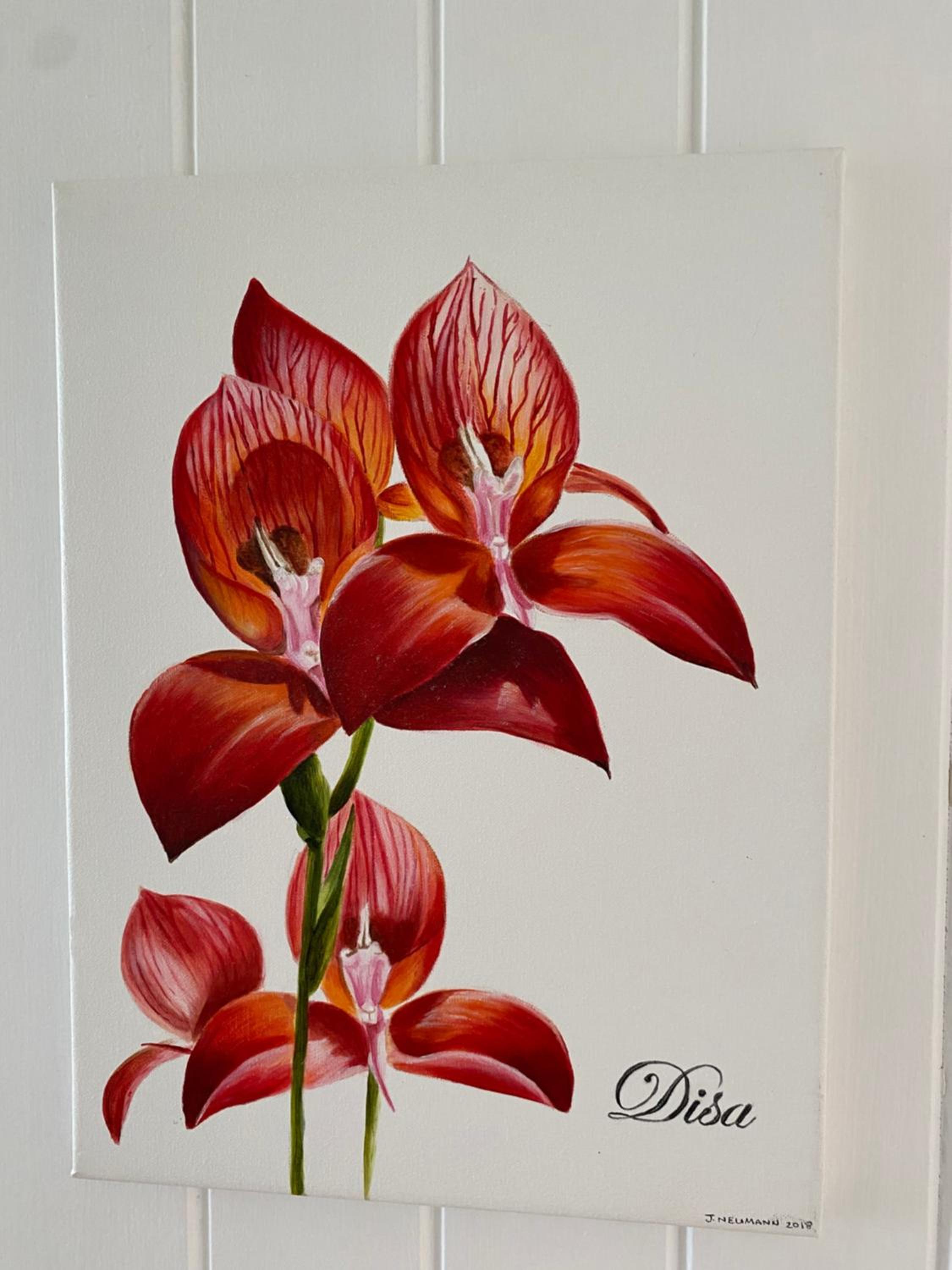 Hermanus Vacations - Shore's Edge Luxury Oceanfront Home - Property Image 27