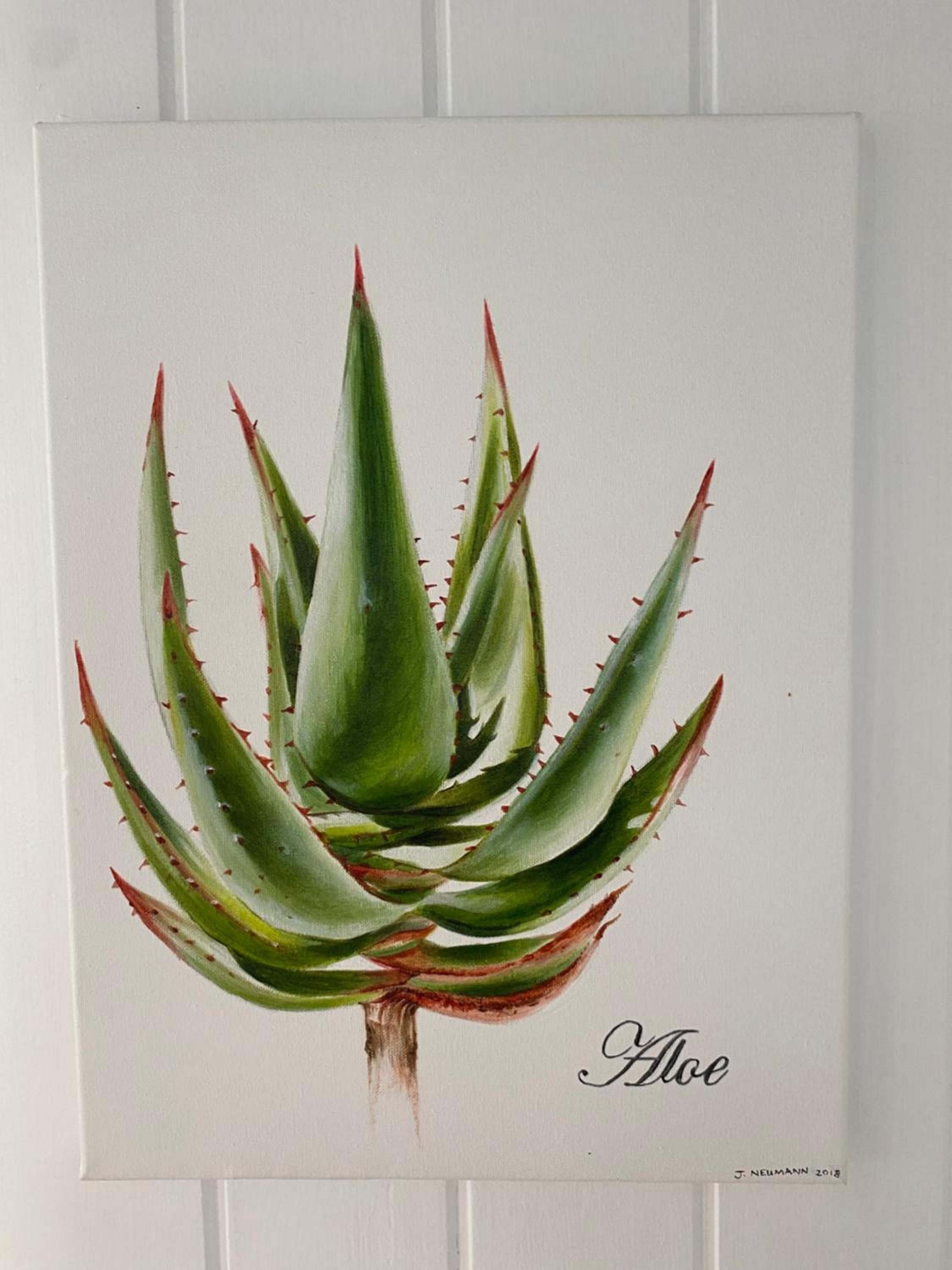 Hermanus Vacations - Shore's Edge Luxury Oceanfront Home - Property Image 36