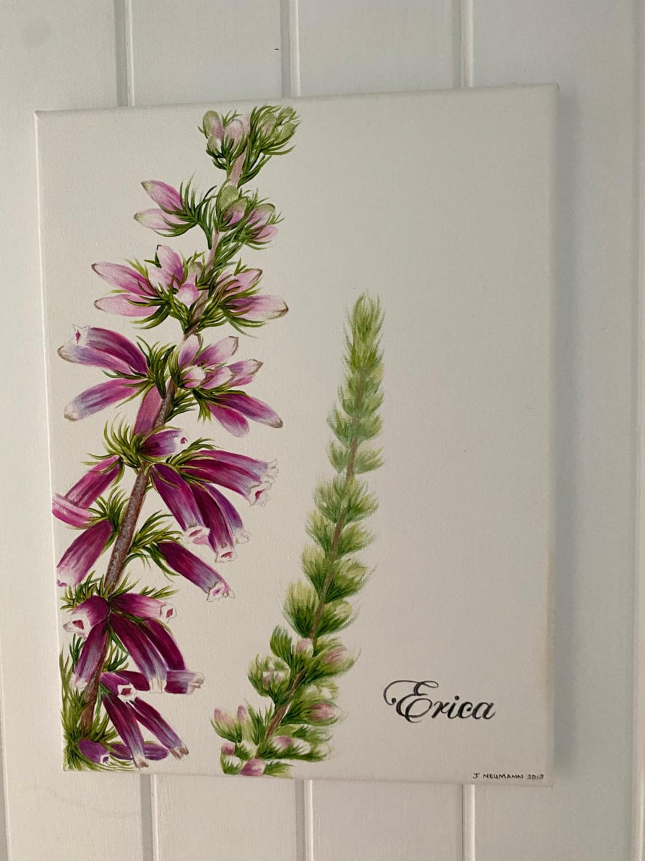 Hermanus Vacations - Shore's Edge Luxury Oceanfront Home - Property Image 44