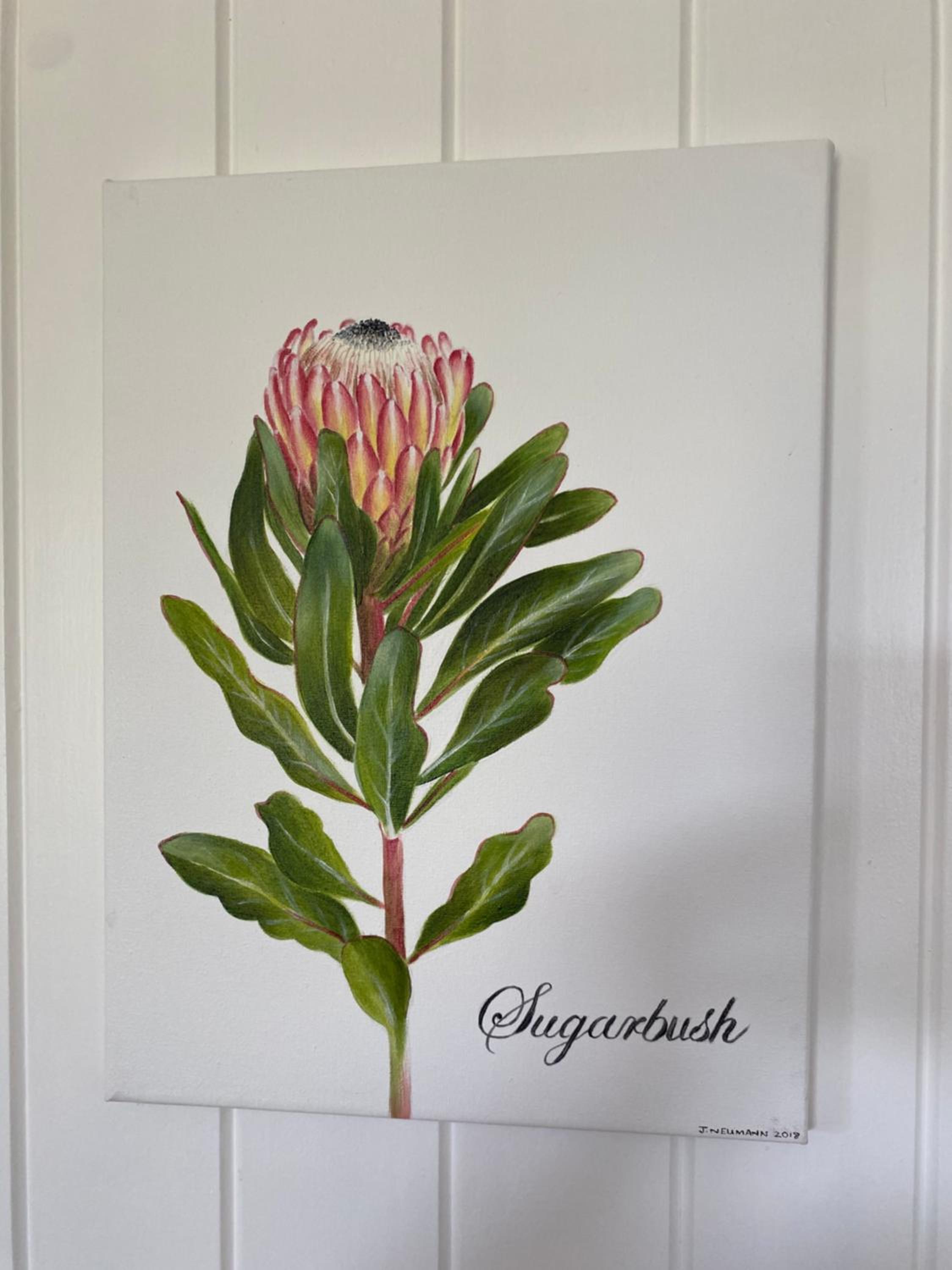 Hermanus Vacations - Shore's Edge Luxury Oceanfront Home - Property Image 52