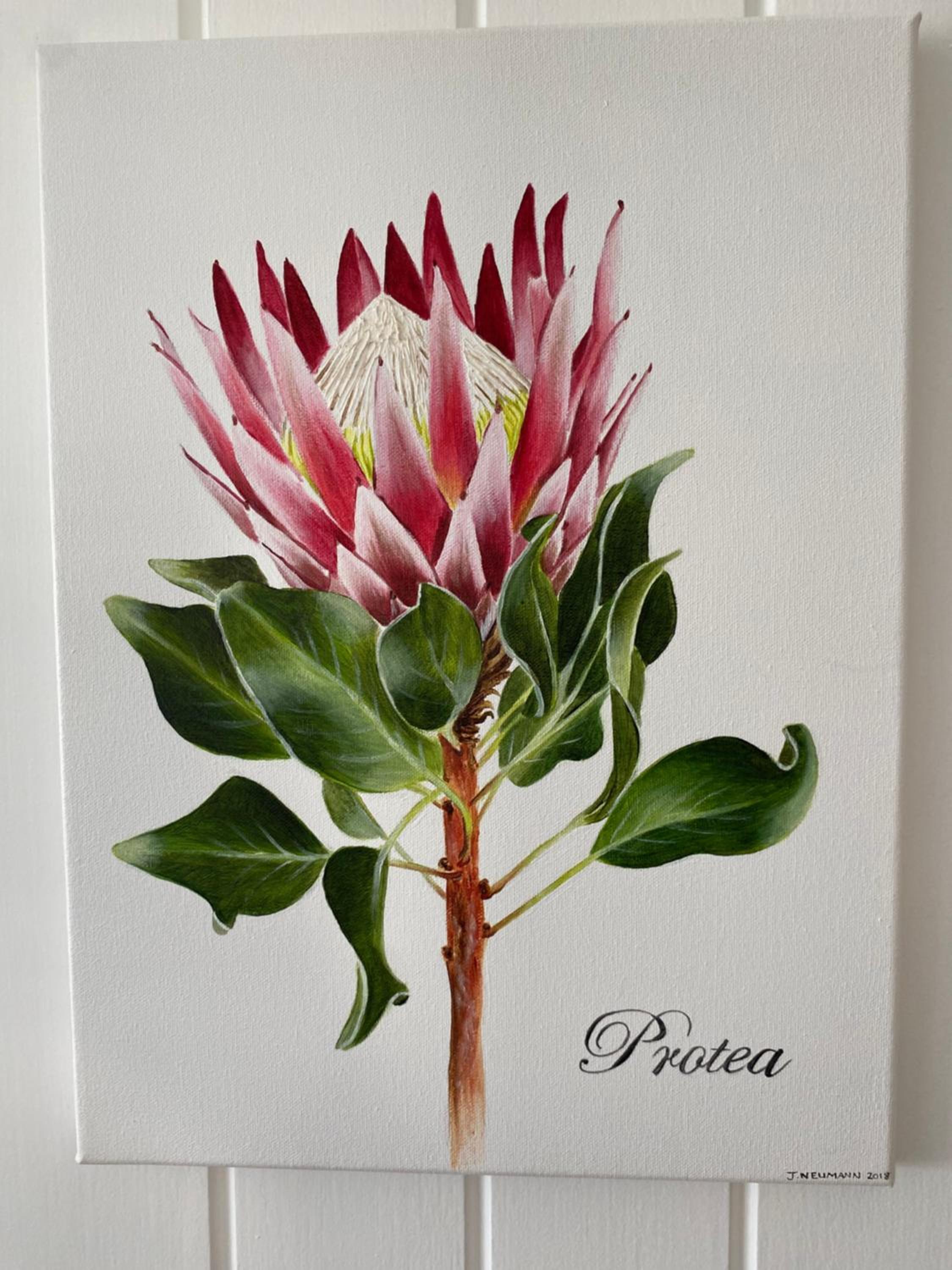 Hermanus Vacations - Shore's Edge Luxury Oceanfront Home - Property Image 48