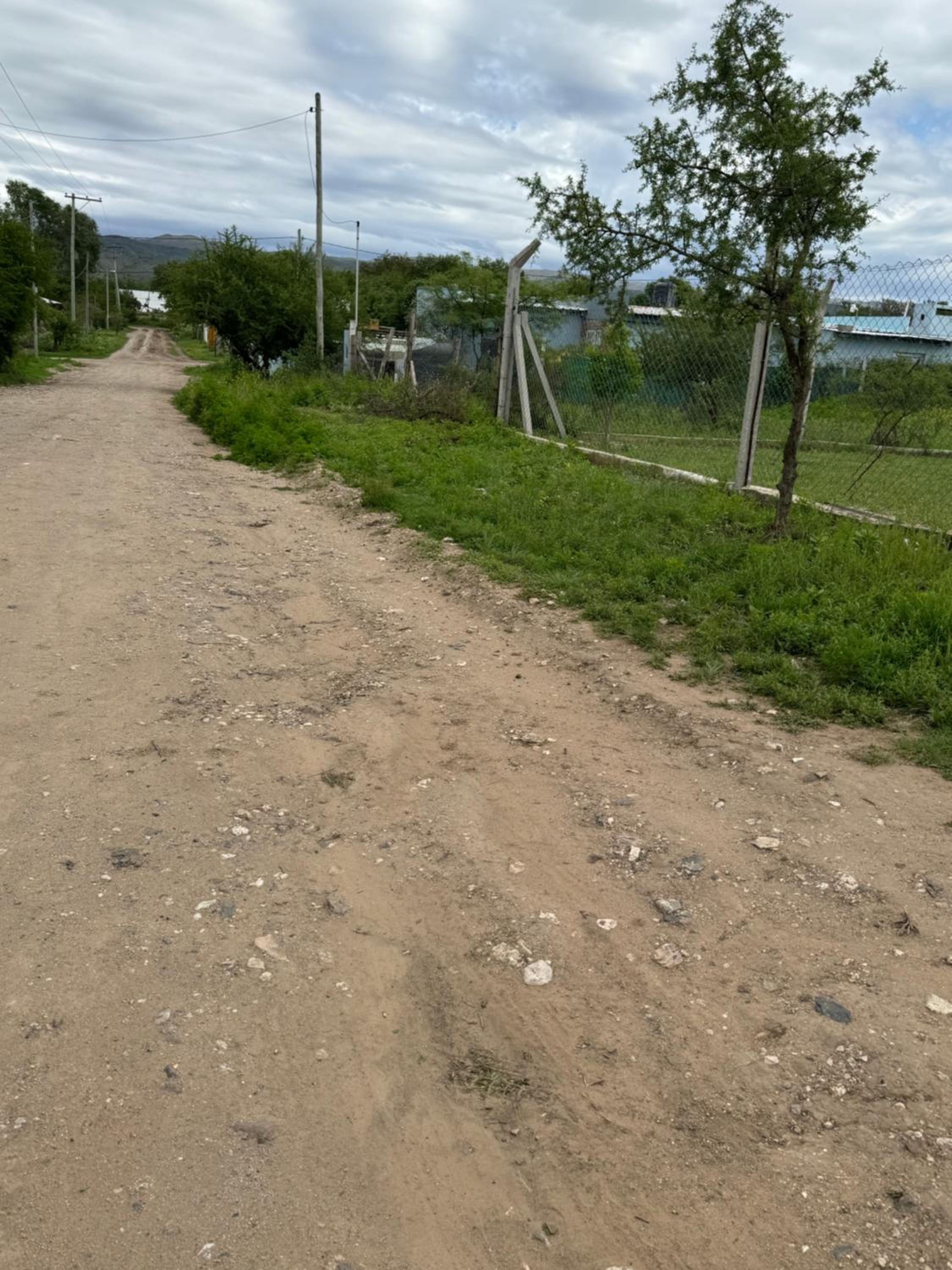 Cab19,SE,Anisacate