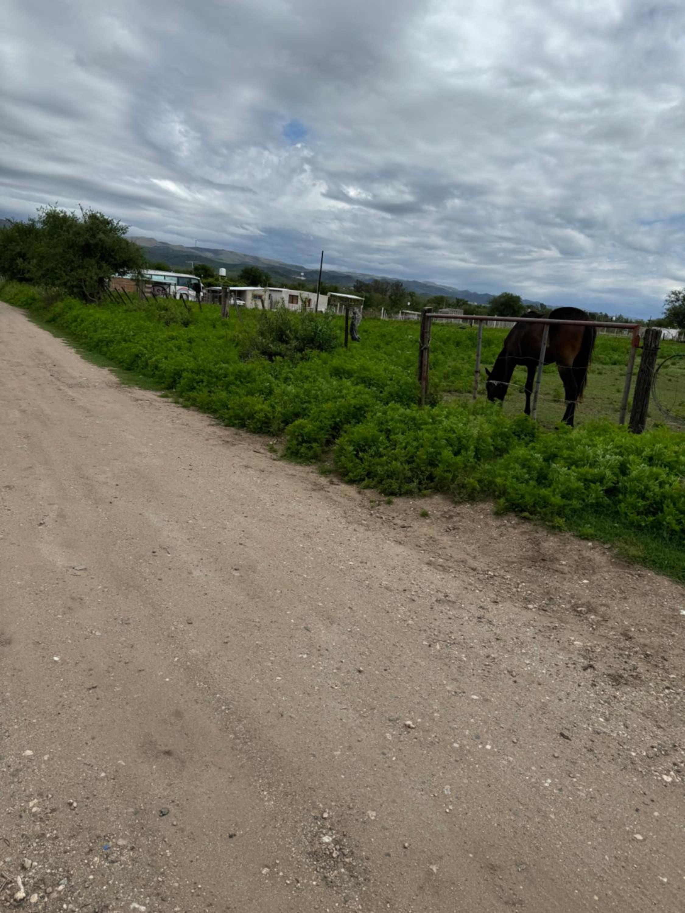 Cab19,SE,Anisacate