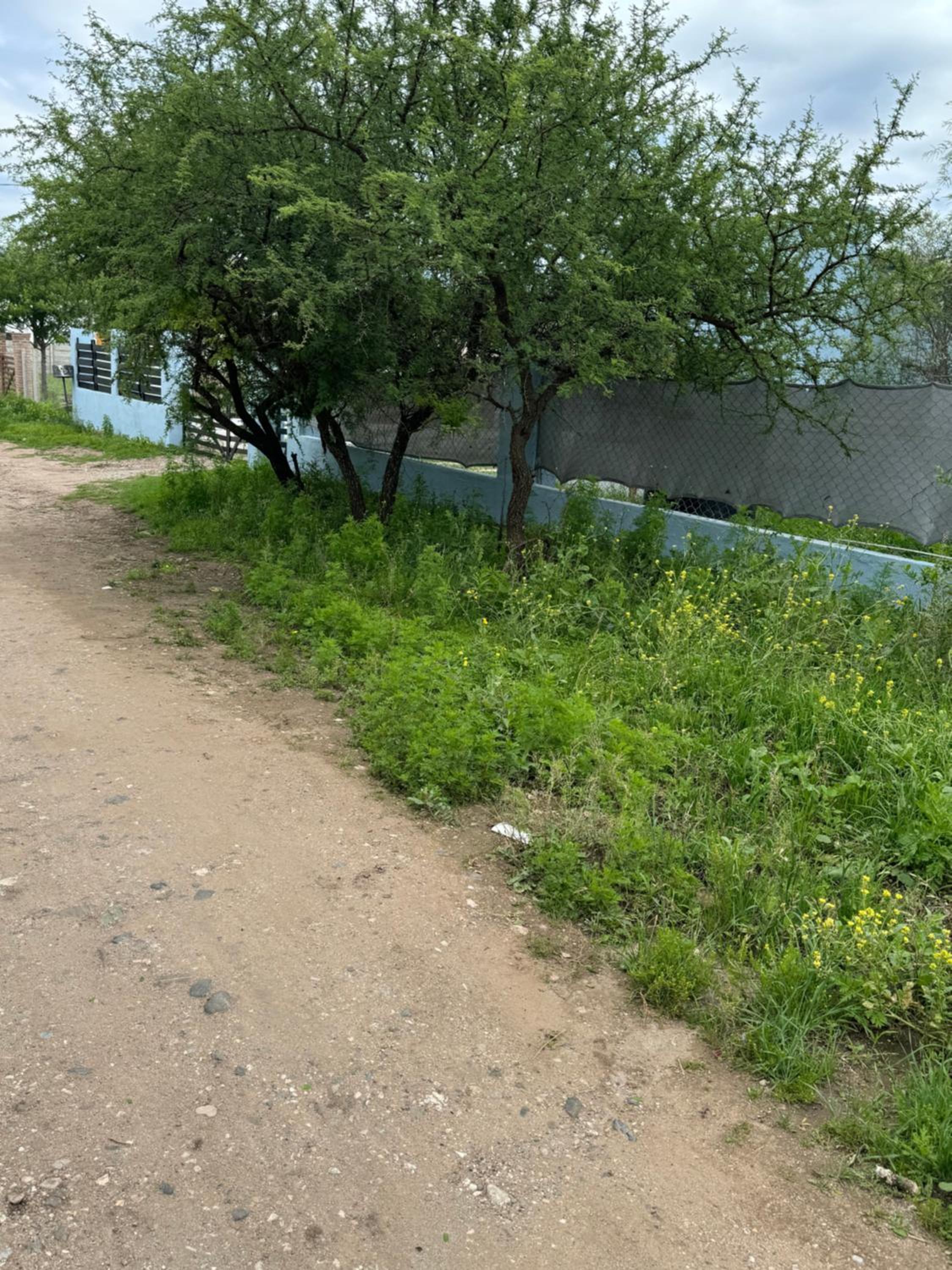 Cab19,SE,Anisacate
