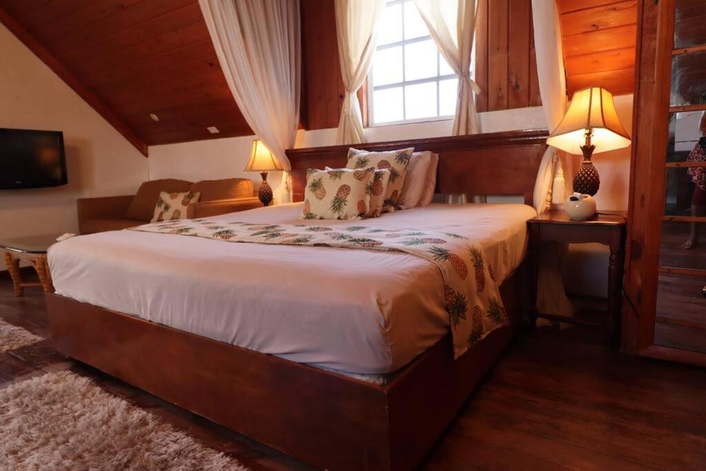 Suncrest House Cozy Suite