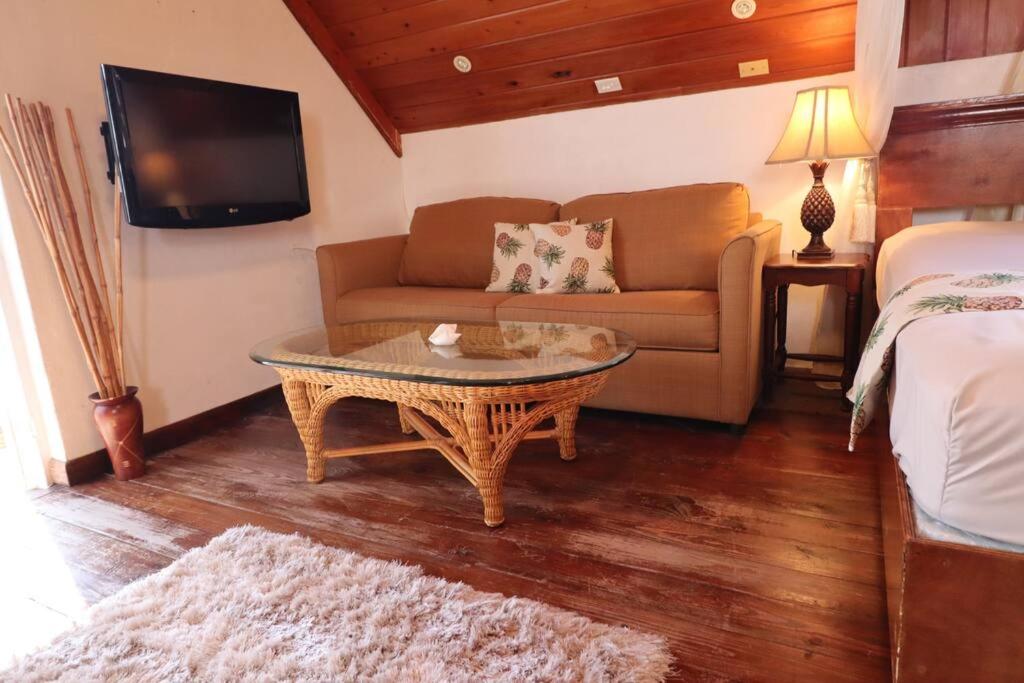Suncrest House Cozy Suite