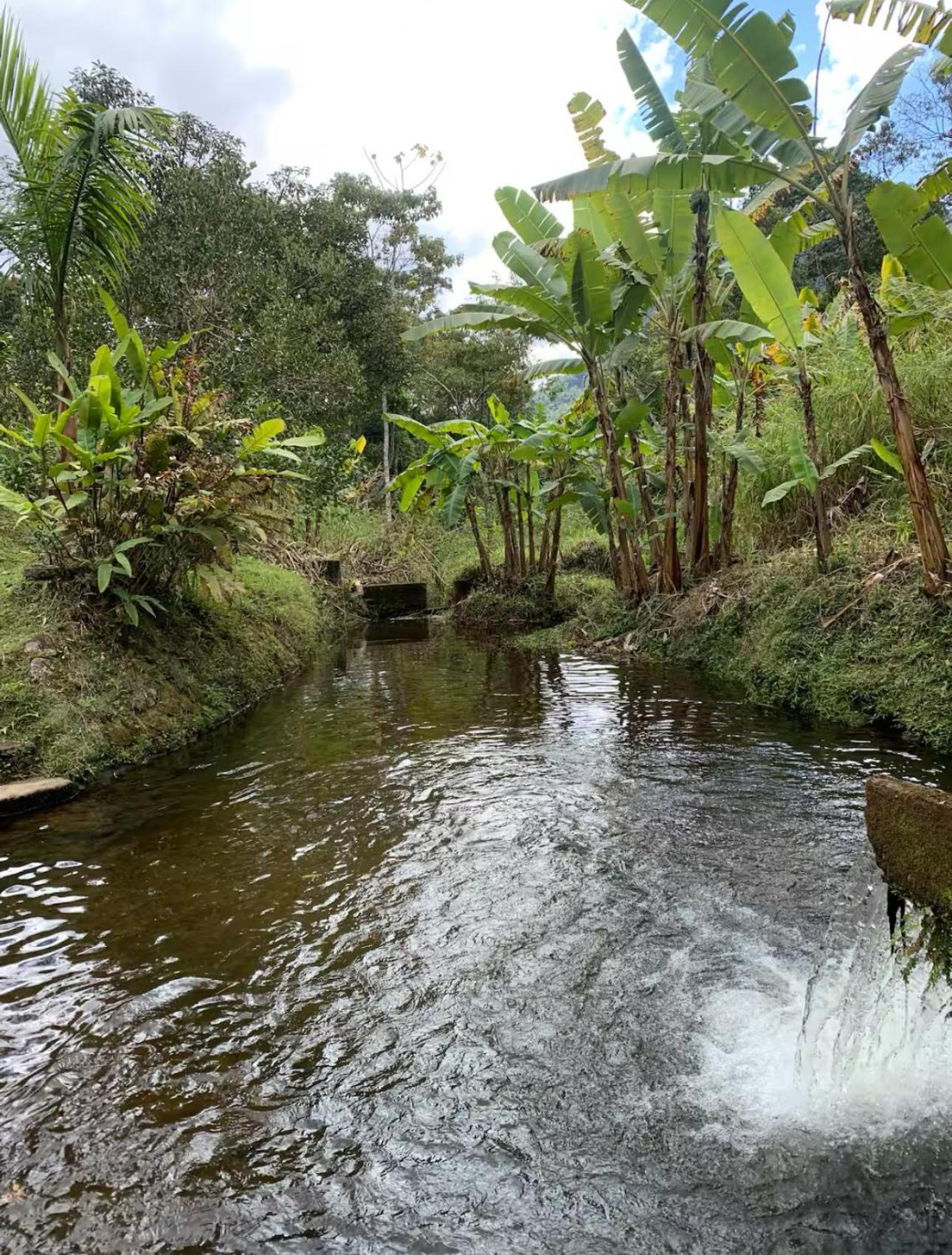 Chalé Teresopolis
