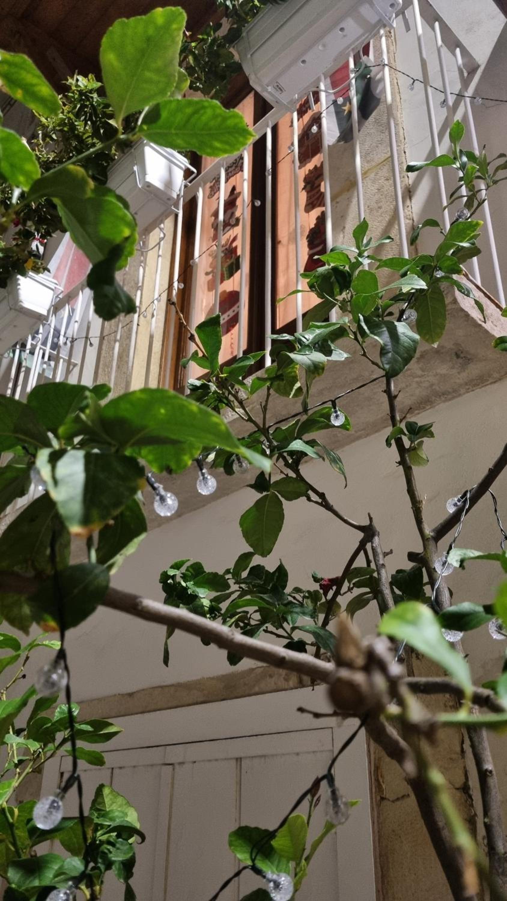 In Parva Domus photo 3