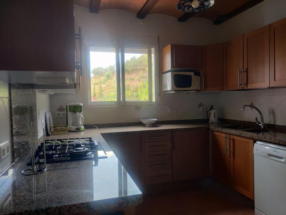 Photo 42