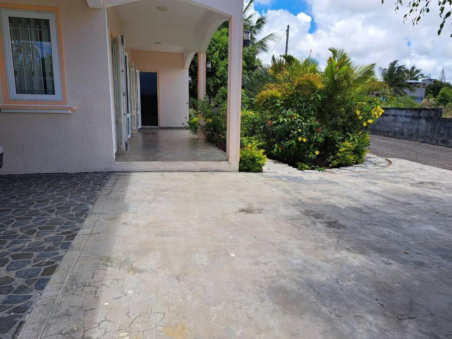 Coconut Alley view 5