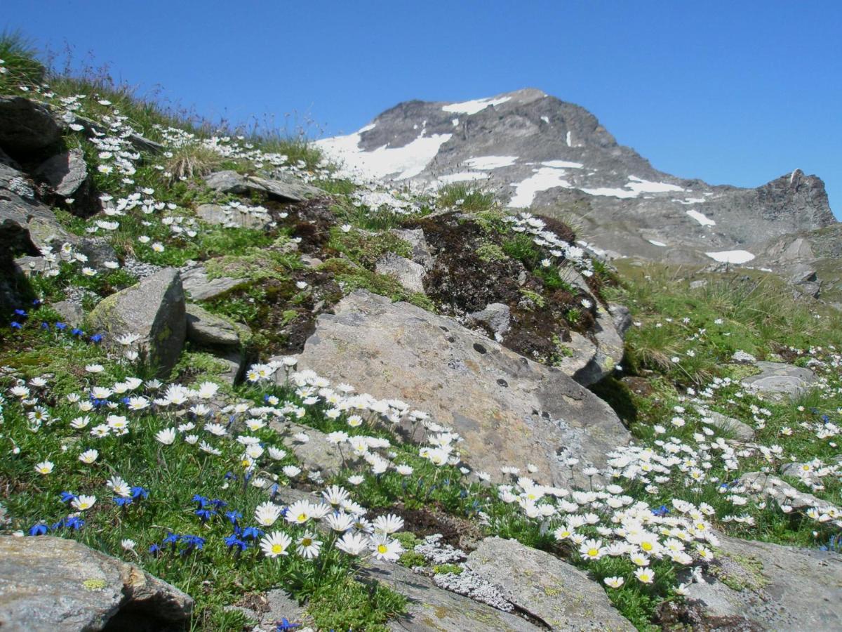 Klampererhof
