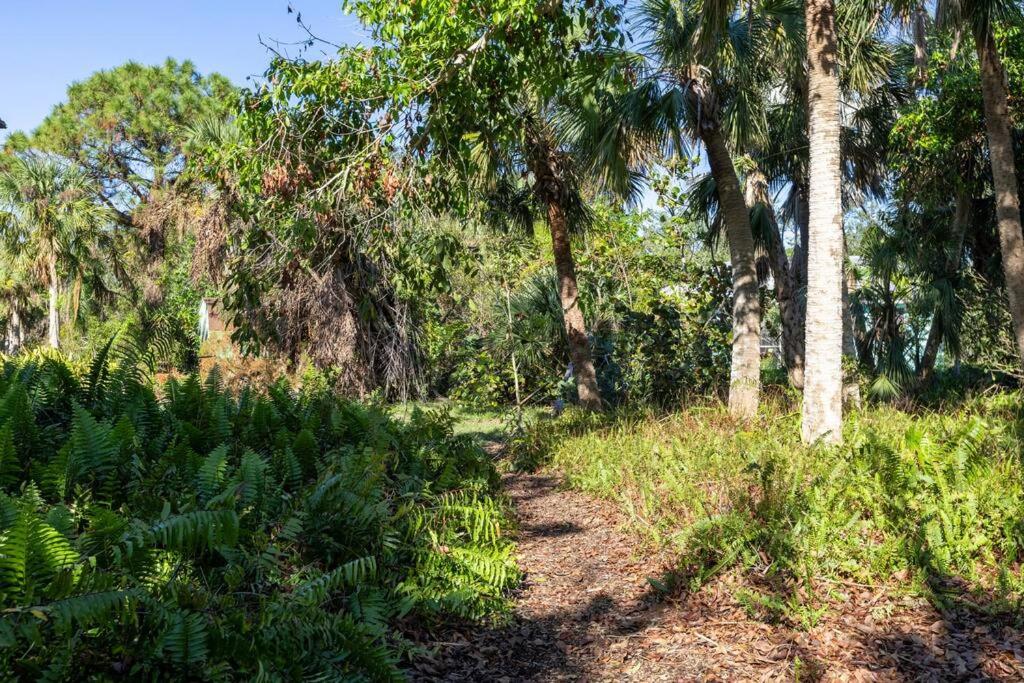 1mi to Beach Jungle Bungalow 1 acre with Pool view 4