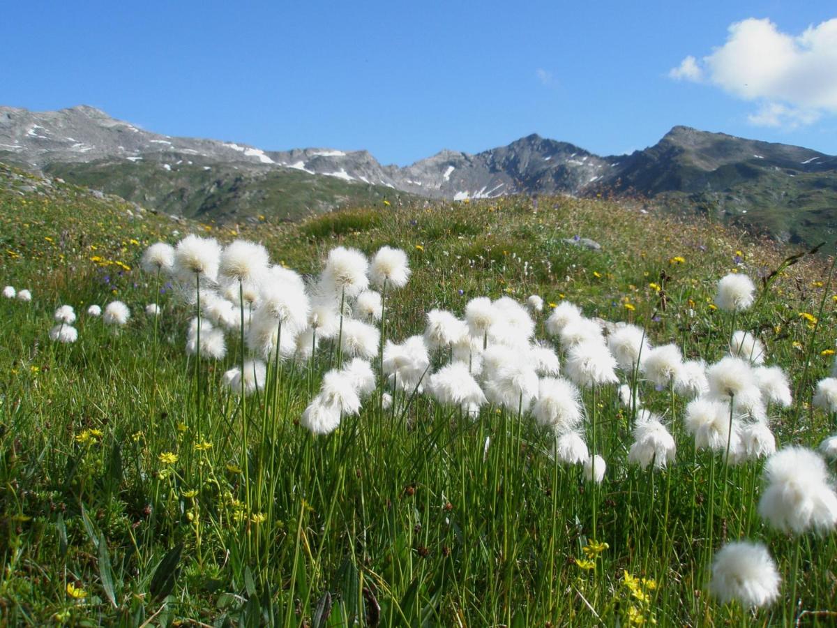 Klampererhof