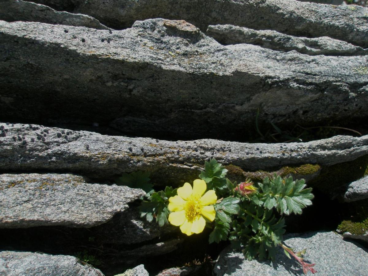 Klampererhof