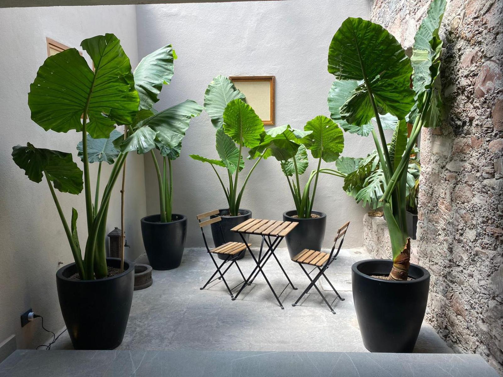 Hacienda Álamos