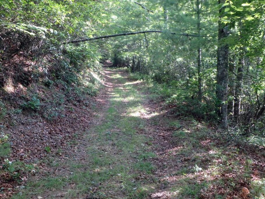 Nantahala Spiritual Retreat - Remote and Peaceful! view 3