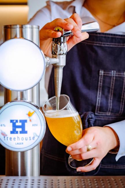 Treehouse Hotel Silicon Valley 18