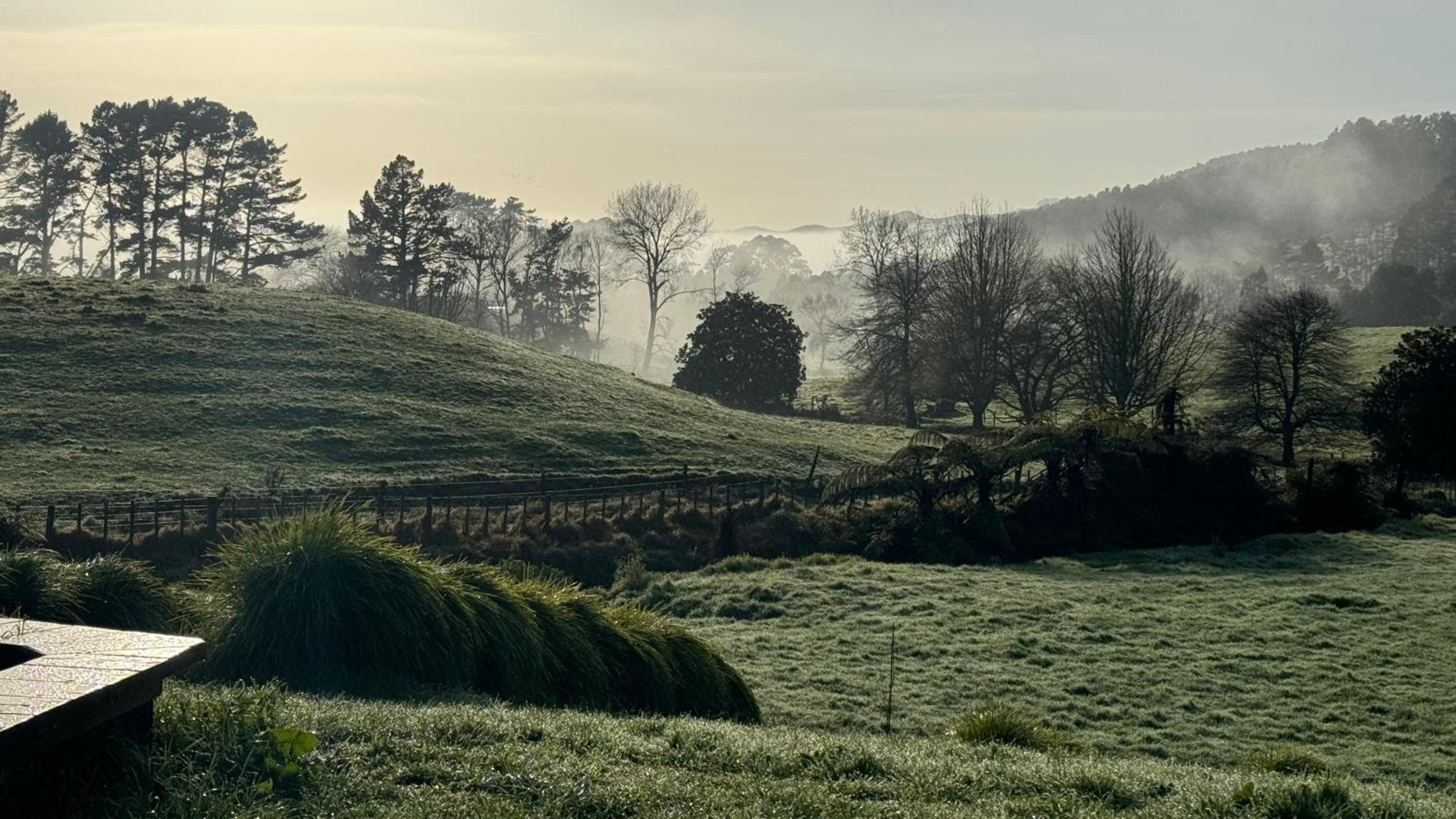 Kohanga Farmstead